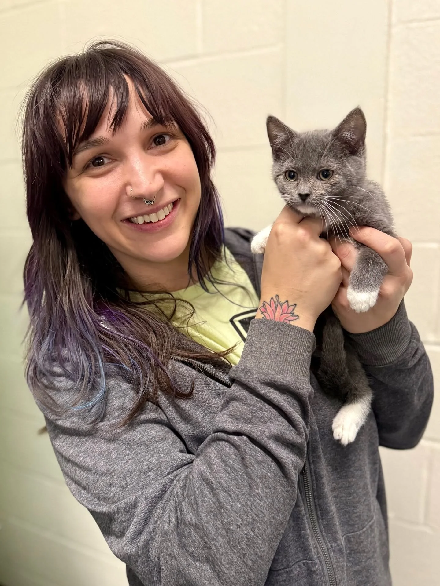 SPOTTED AT THE GREAT LIFE: Regal "Duchess," in for a fix courtesy of the nice people at For Paw's Sake TNR. 😃