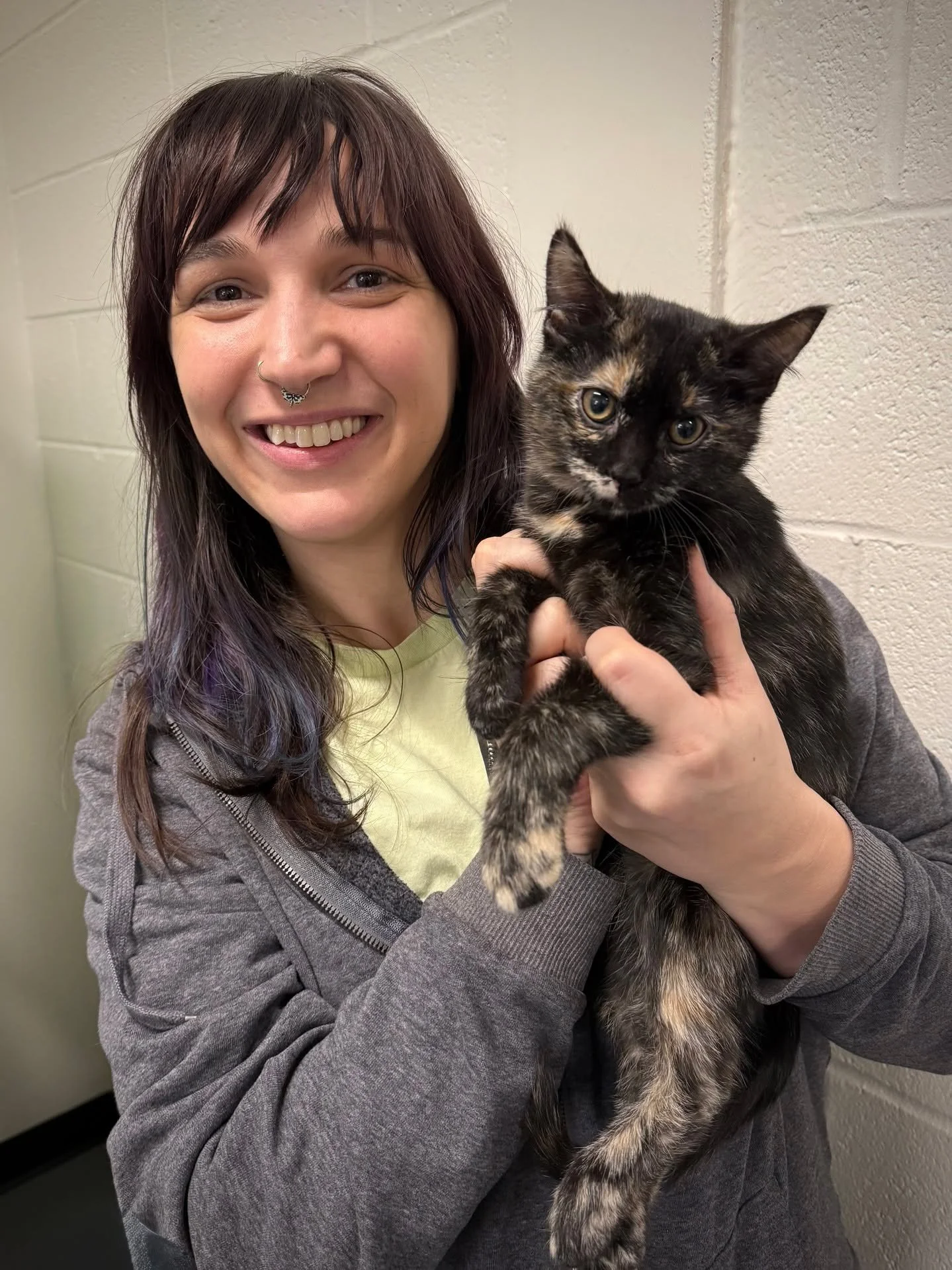 SPOTTED AT THE GREAT LIFE: Rascally "Rock," in for a fix courtesy of the nice people at For Paw's Sake TNR. 😃