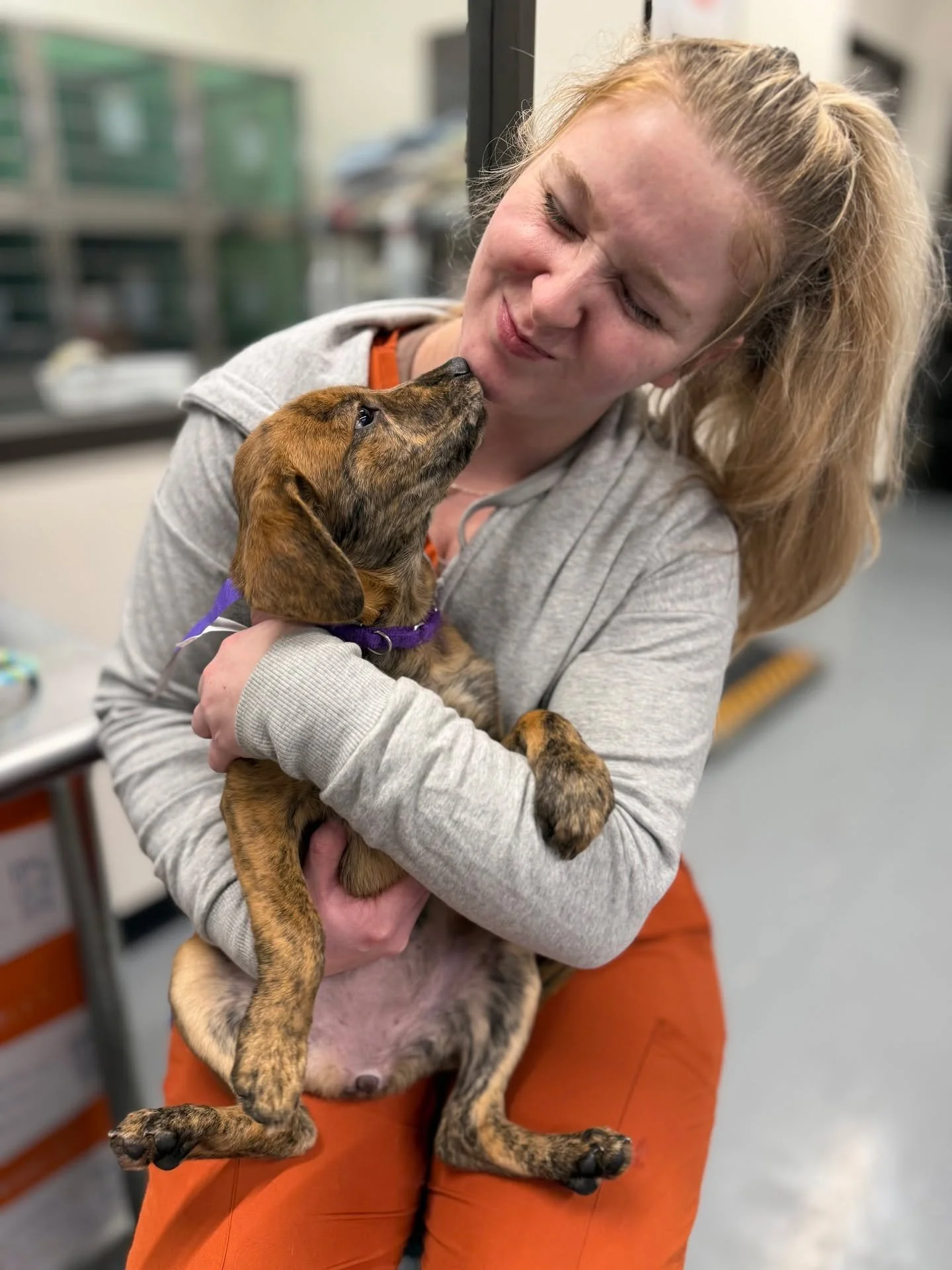 SPOTTED AT THE GREAT LIFE: Sweet "Thelma," passing out smooches on a very cold Tuesday! She was in for a fix course of the nice people at @bereaarf. 😘