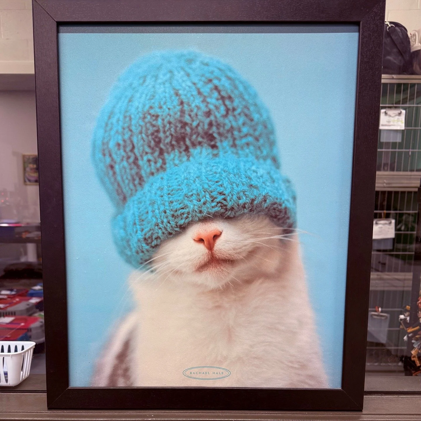 Art @ The Great Life