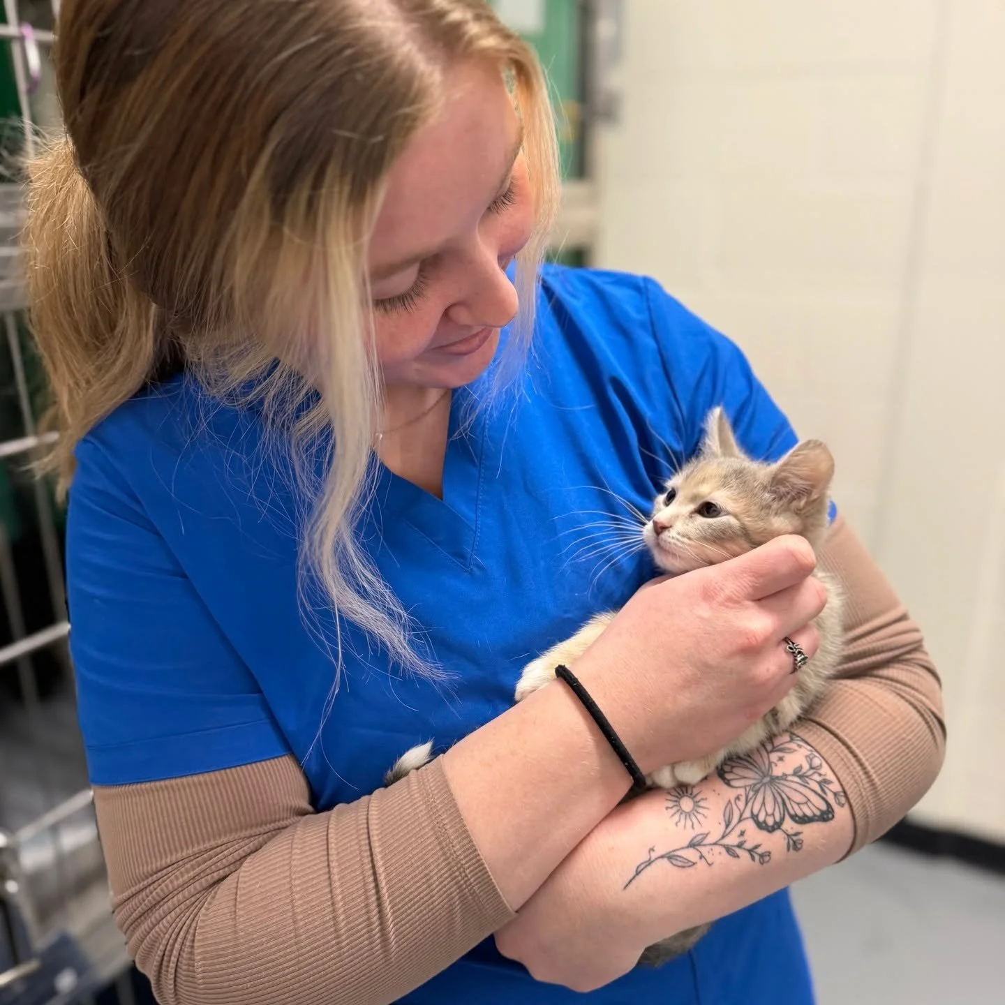 SPOTTED AT THE GREAT LIFE: Sweet "Samba," in for a fix courtesy of the nice people at @portageapl. 😀