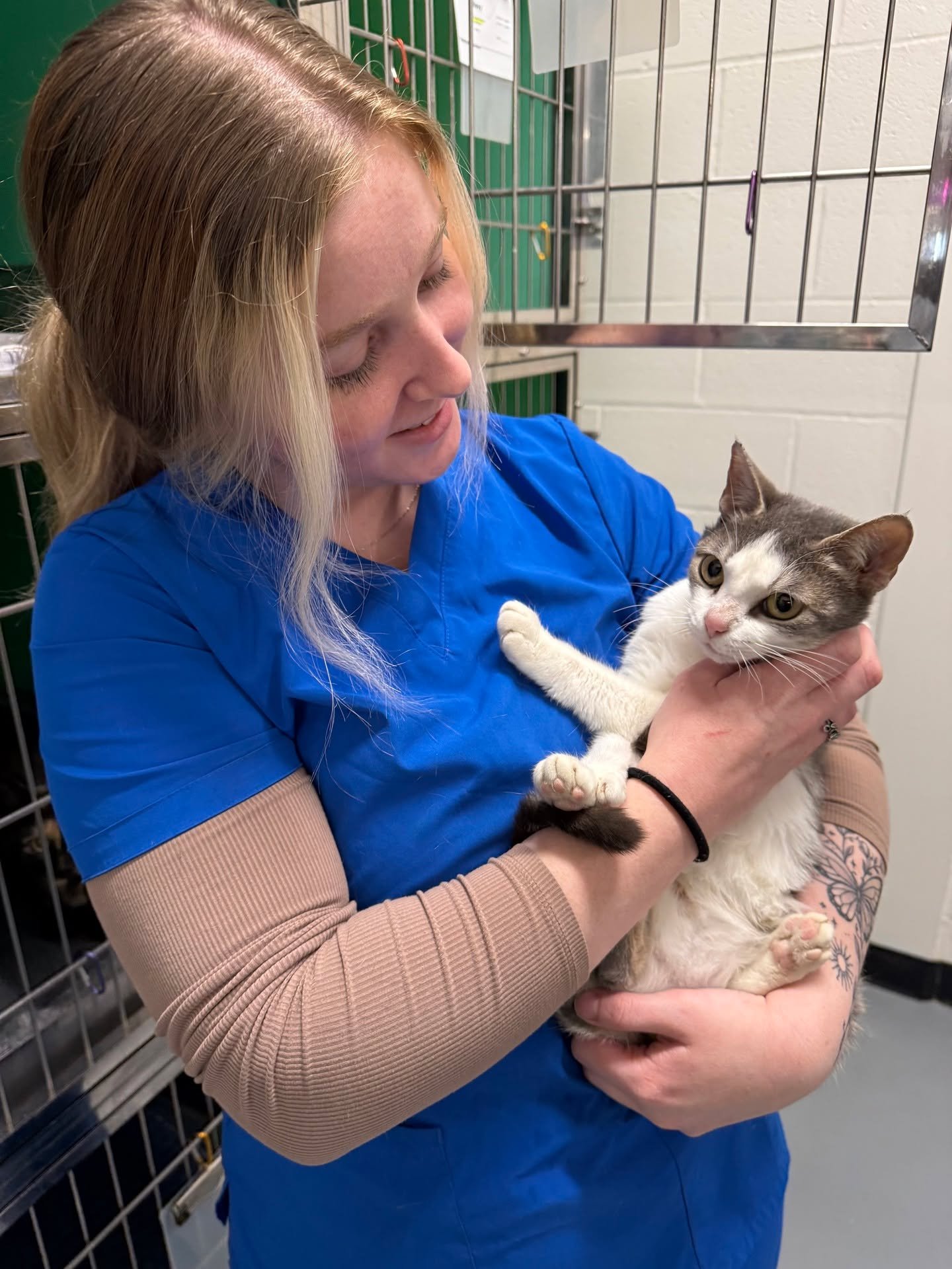 SPOTTED AT THE GREAT LIFE: Big-eyed "Aurora," in for a fix courtesy of the nice people at @bereaarf. 😀