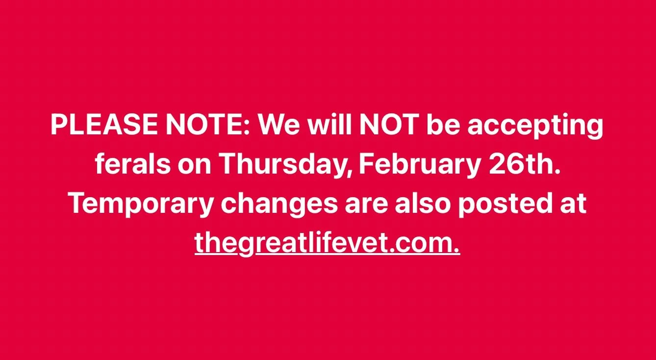 PLEASE NOTE: We will NOT be accepting ferals on Thursday, February 26th. Temporary changes are also posted at thegreatlifevet.com.