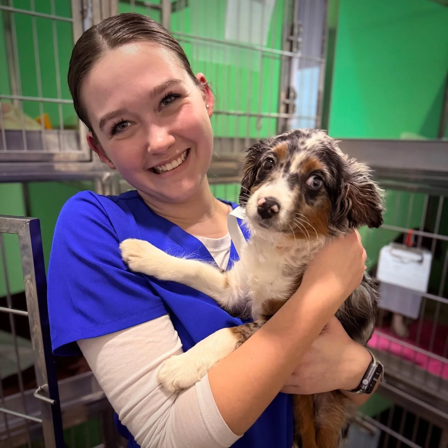 SPOTTED AT THE GREAT LIFE: Little "Blueberry," in for a fix courtesy of the nice people at A Road Home Rescue! 🛟🐶❤️
