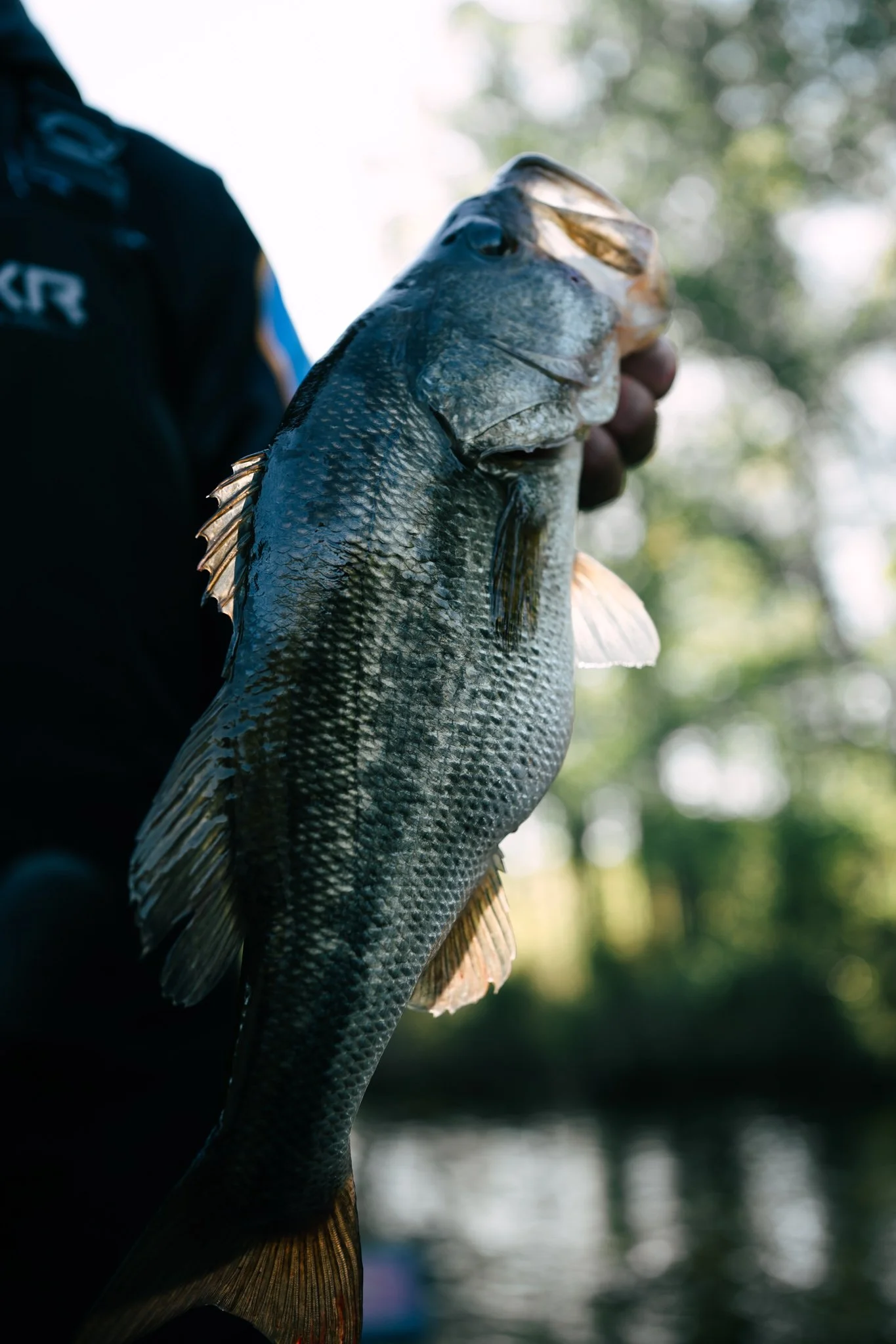 bassmaster elite tombigbee-17.jpg