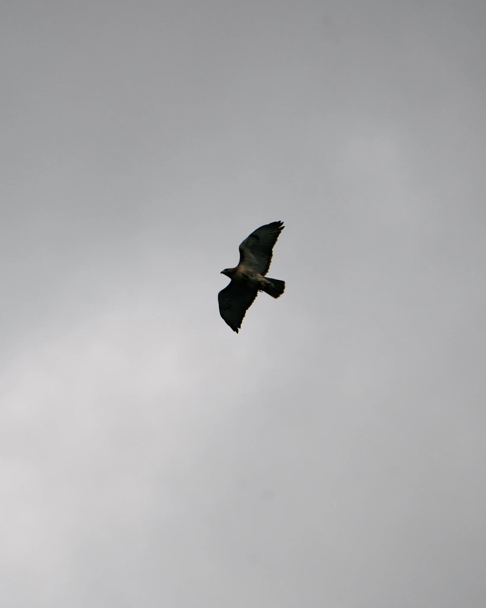 bassmaster knoxville tn-24.jpg