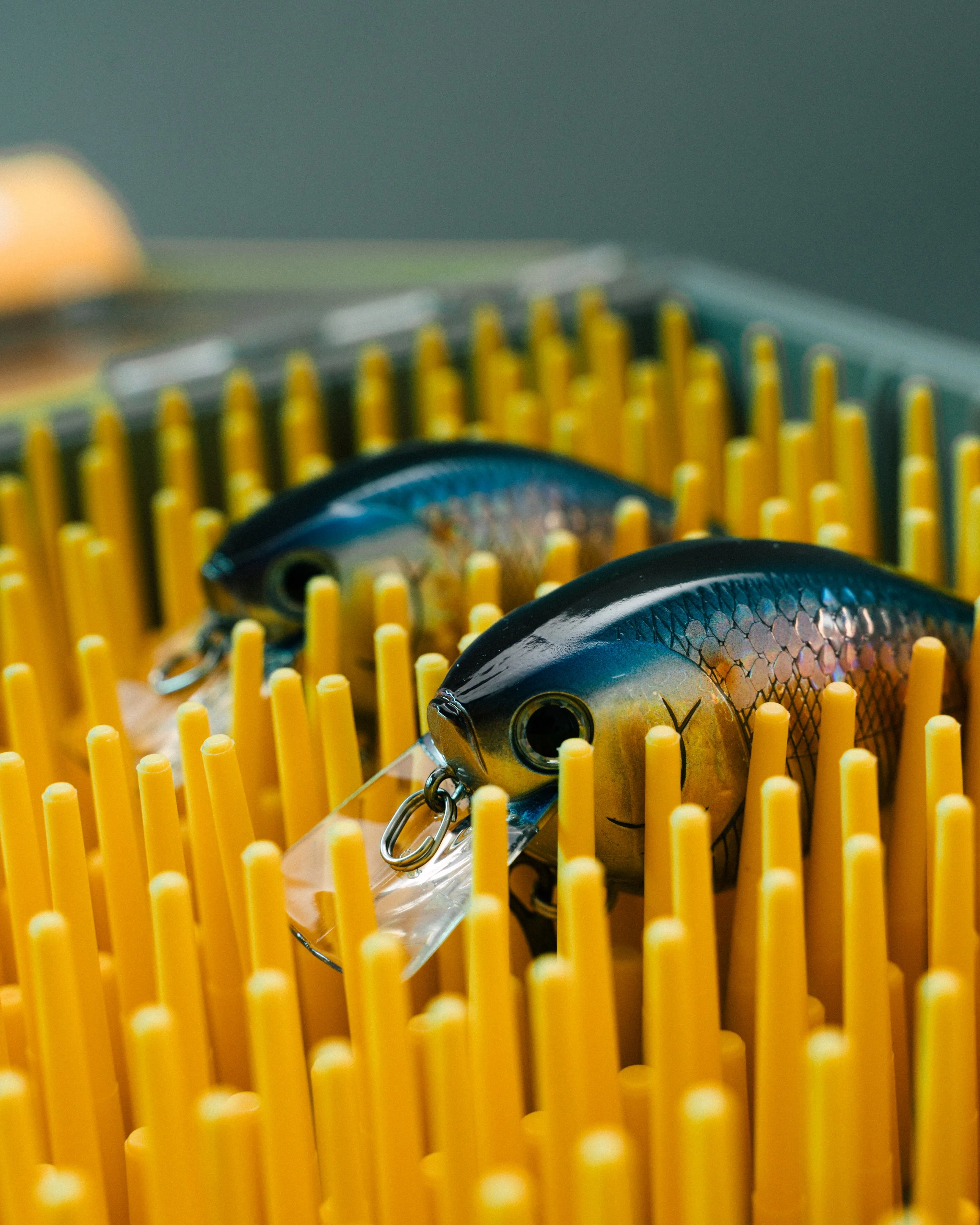 dominic doan fire-lit.com-8.jpg