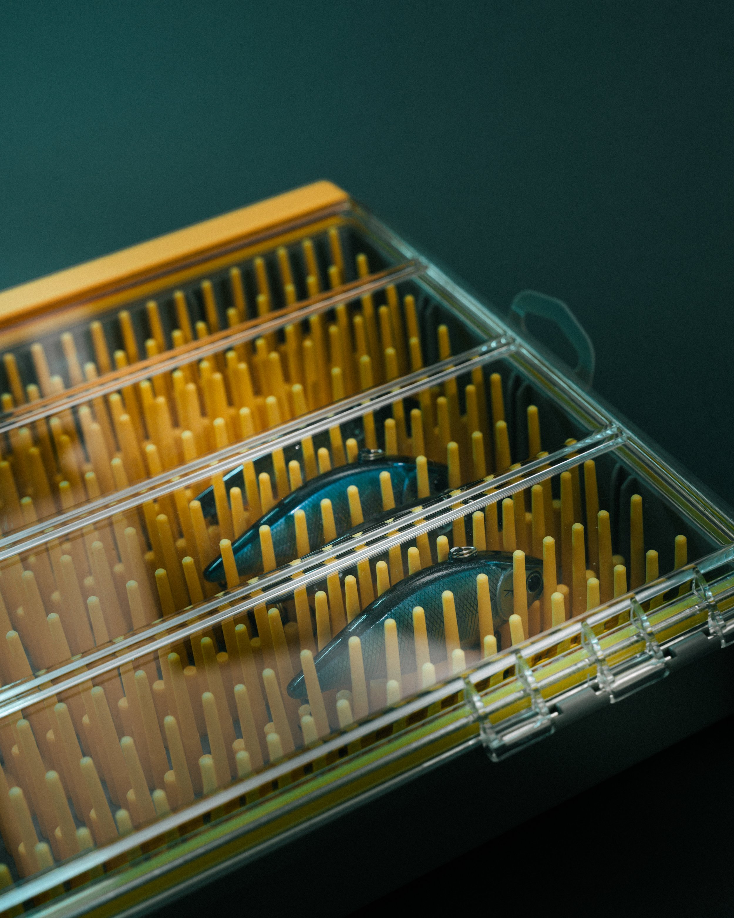 dominic doan fire-lit.com-9.jpg