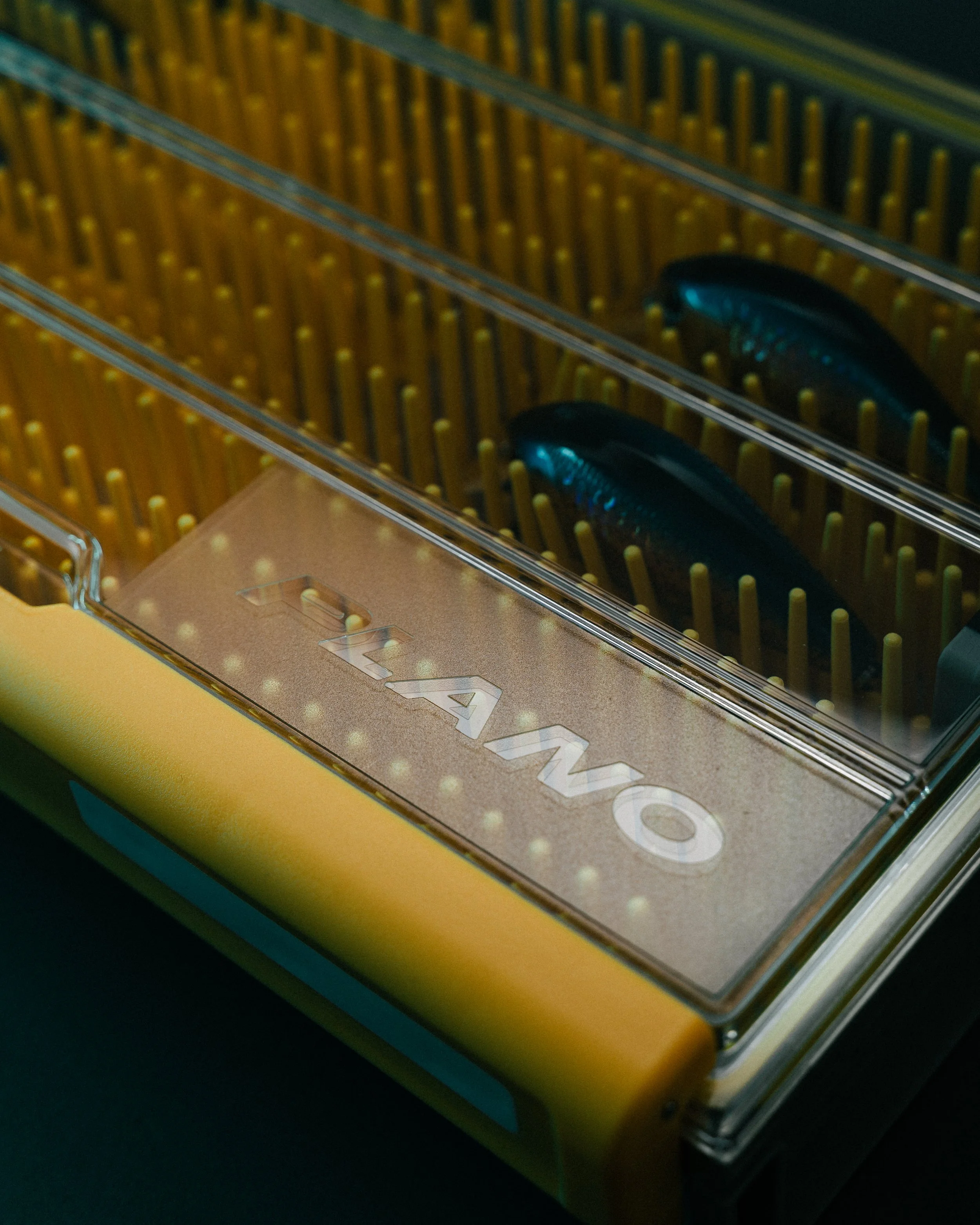 dominic doan fire-lit.com.jpg