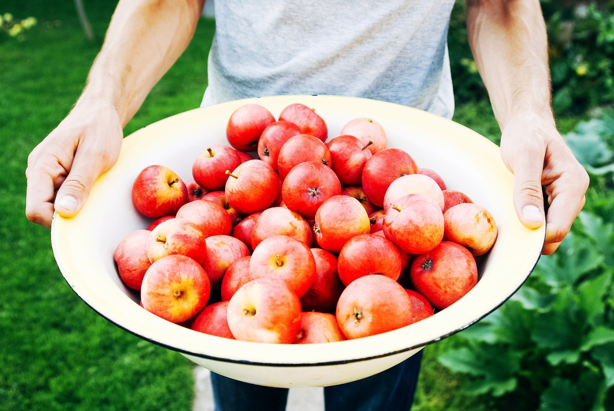 Highest quality apples