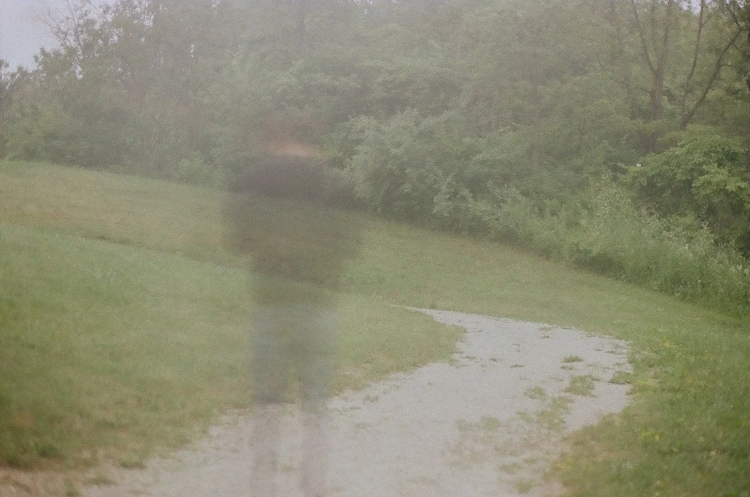 Late summer 2022 on Kodak Gold 200