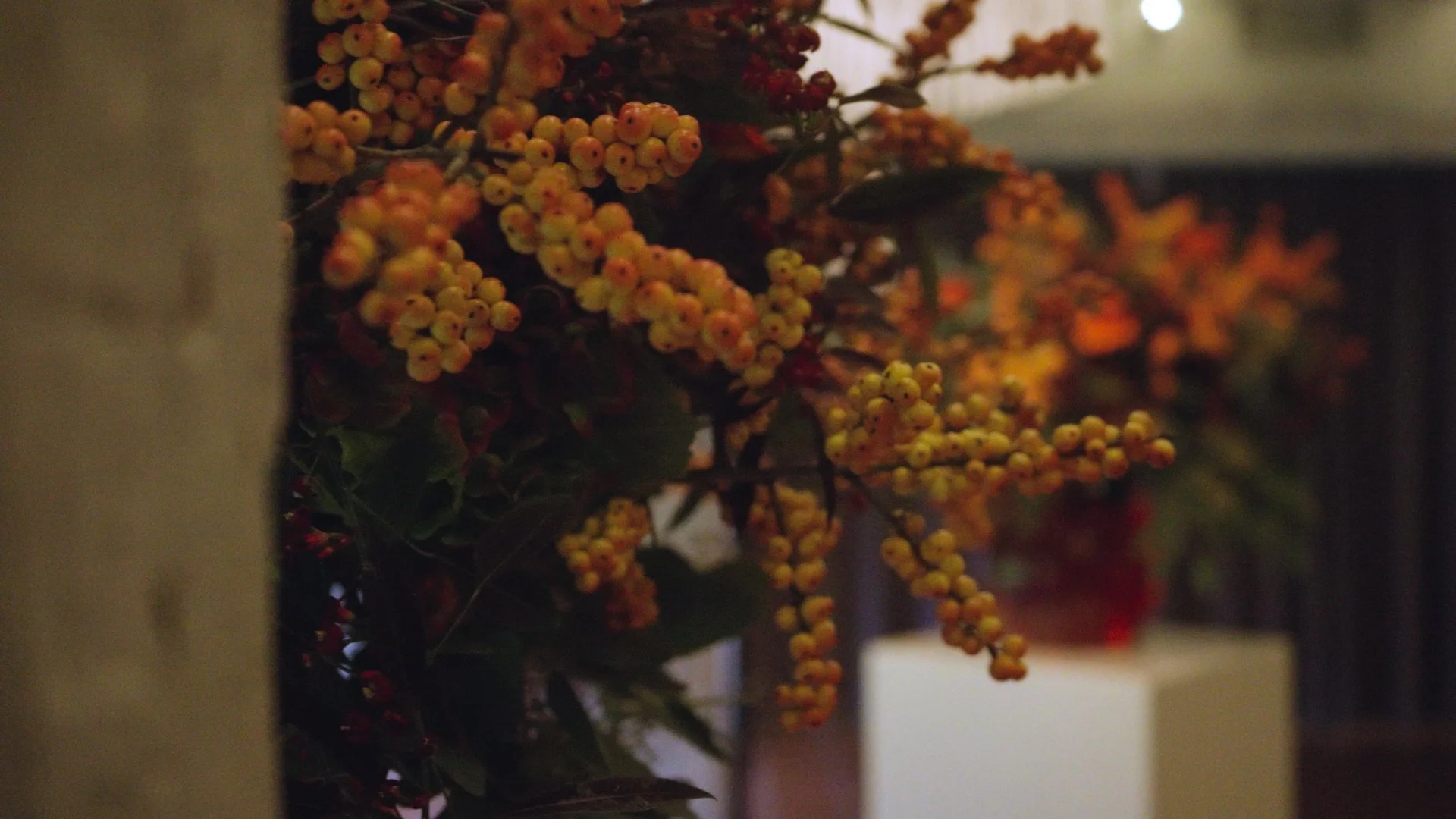 Sequence 02.00_01_22_01.Still006.jpg