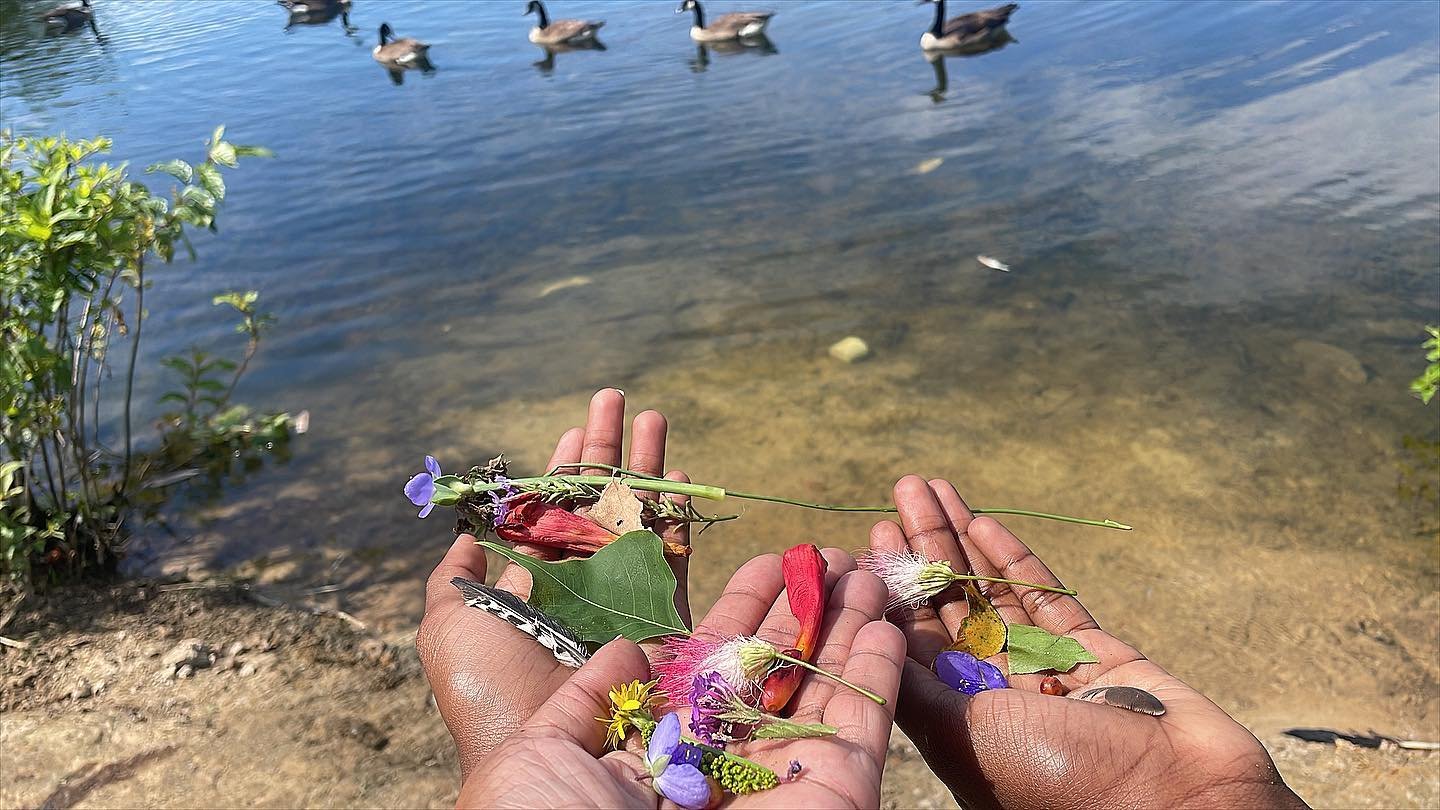 Did you get outside today?! 

Being in nature is amazing for your physical and mental health! 

Activity: Shinrin-Yoku w/ A Twist 🌳🌈
Activity Objective: Children&rsquo;s Nervous System Reset