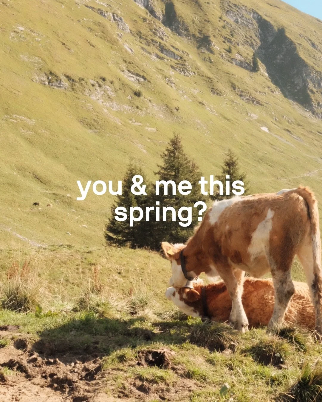 Tag your best hiking/mountain buddy! 🏔️