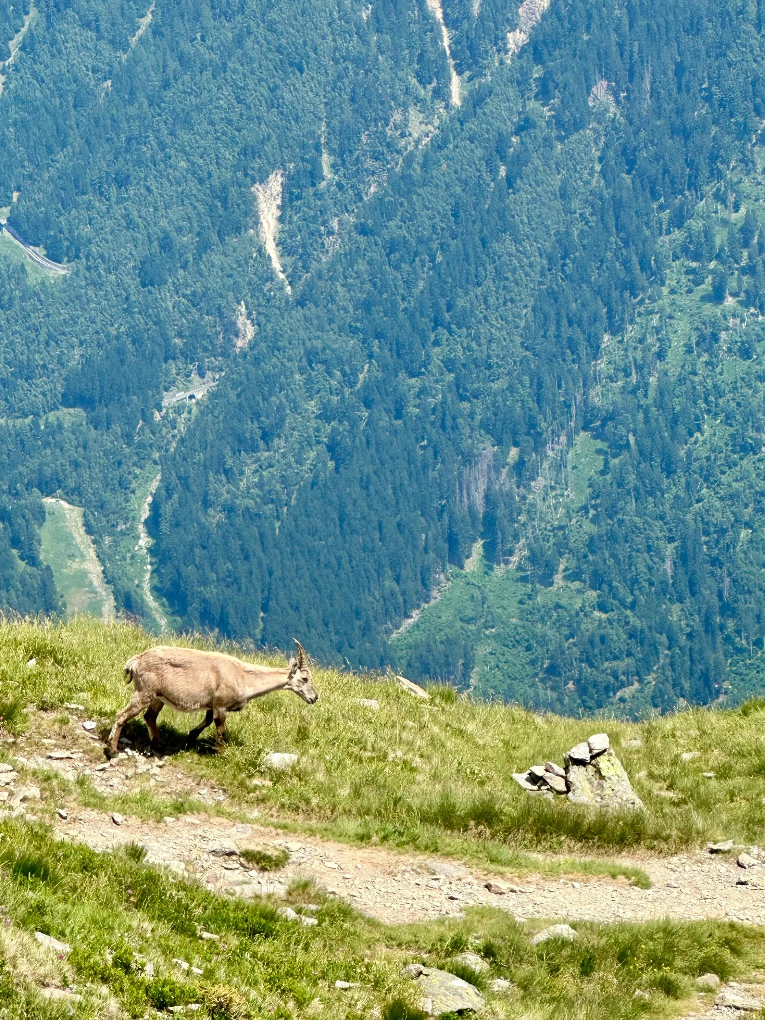 tour de mont blanc girls on tour koziorozec chamonix.jpg