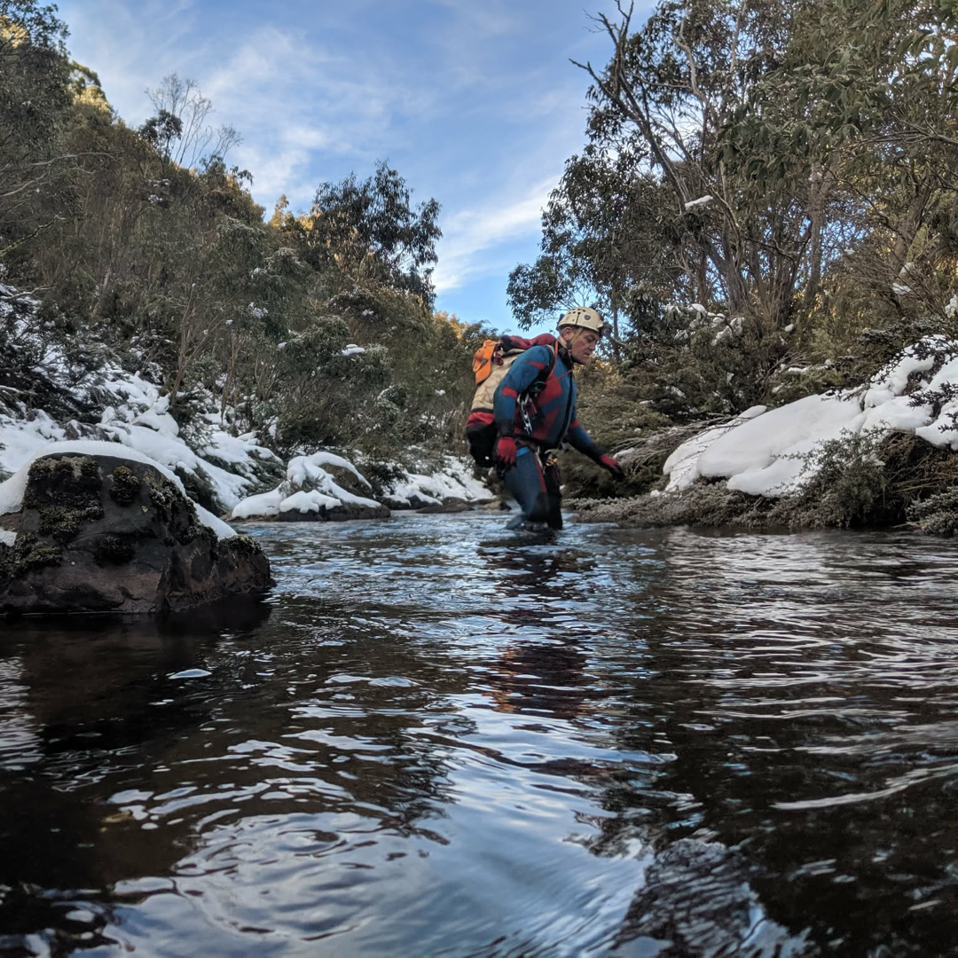 June 2026 Meetup - FreezeFest