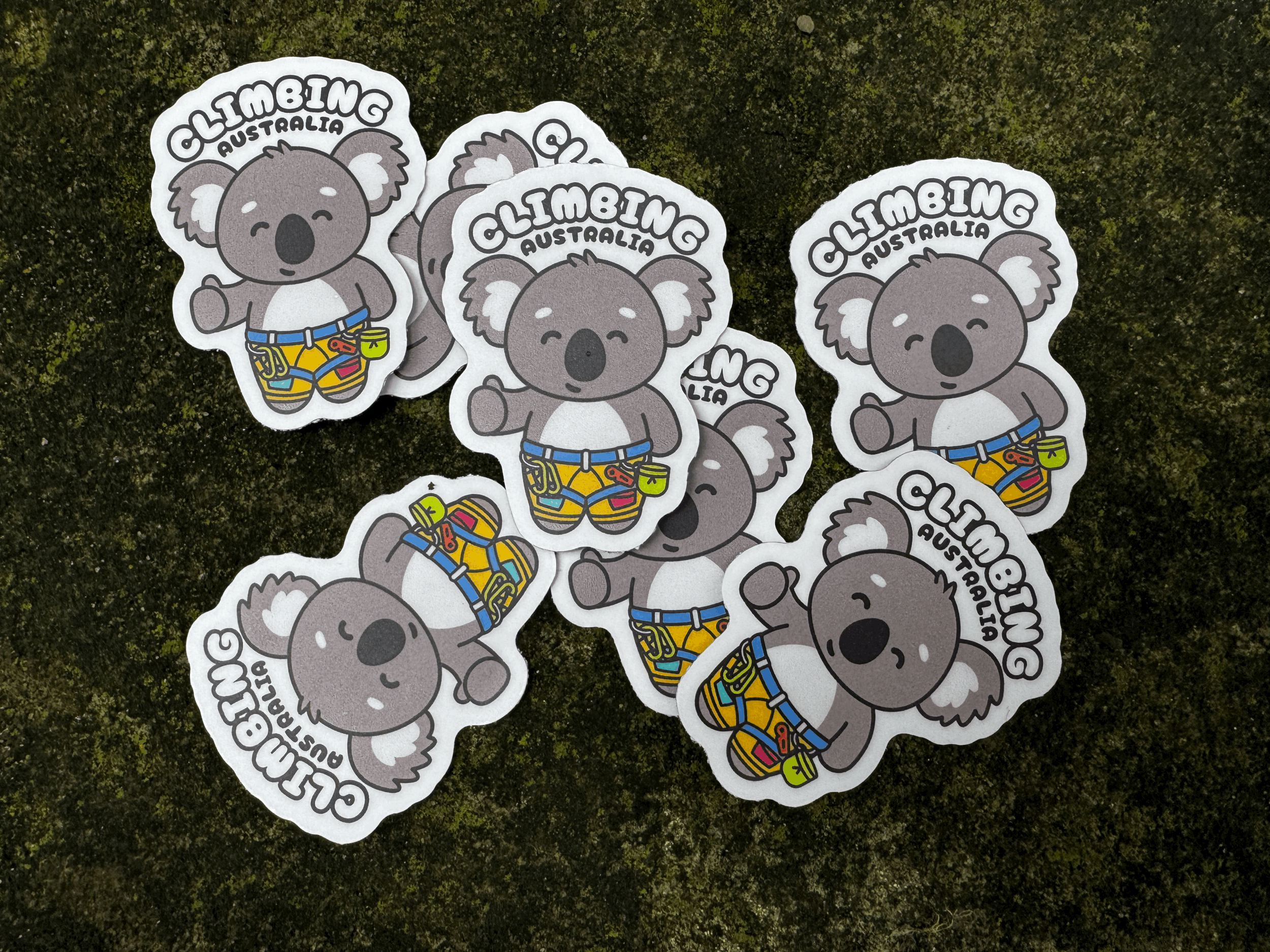 Climbing Australia koala sticker