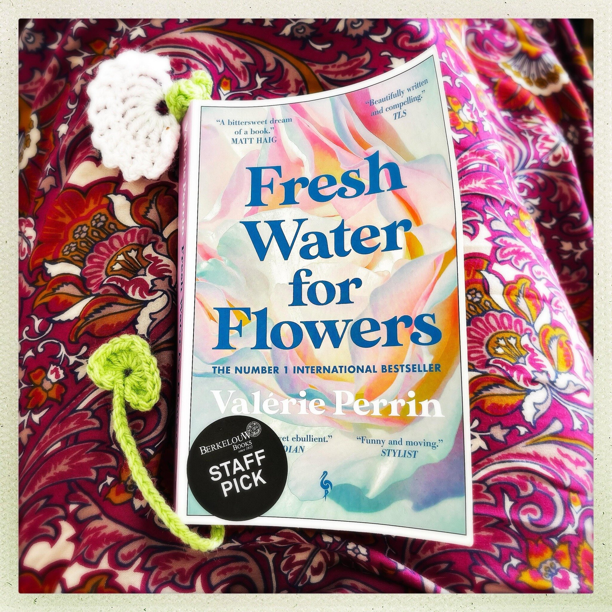 Currently reading 💐Fresh Water for Flowers💐 by French author @valerieperrin_  and it's a delight. This book has been in my TBR pile for a while but the one silver lining g of being incapacitated is that I'm racing through that pile and finding some