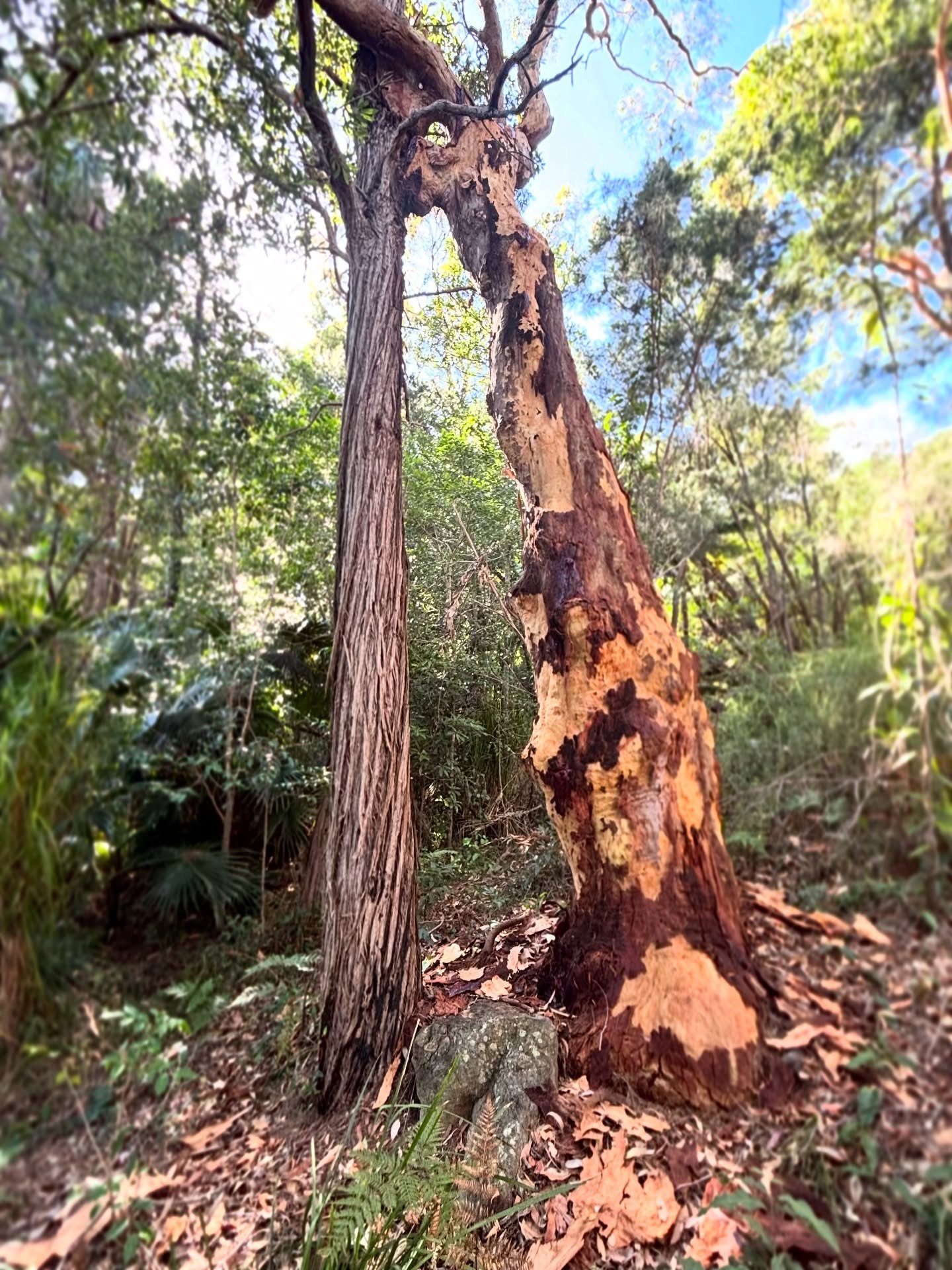 We all need someone to lean on.