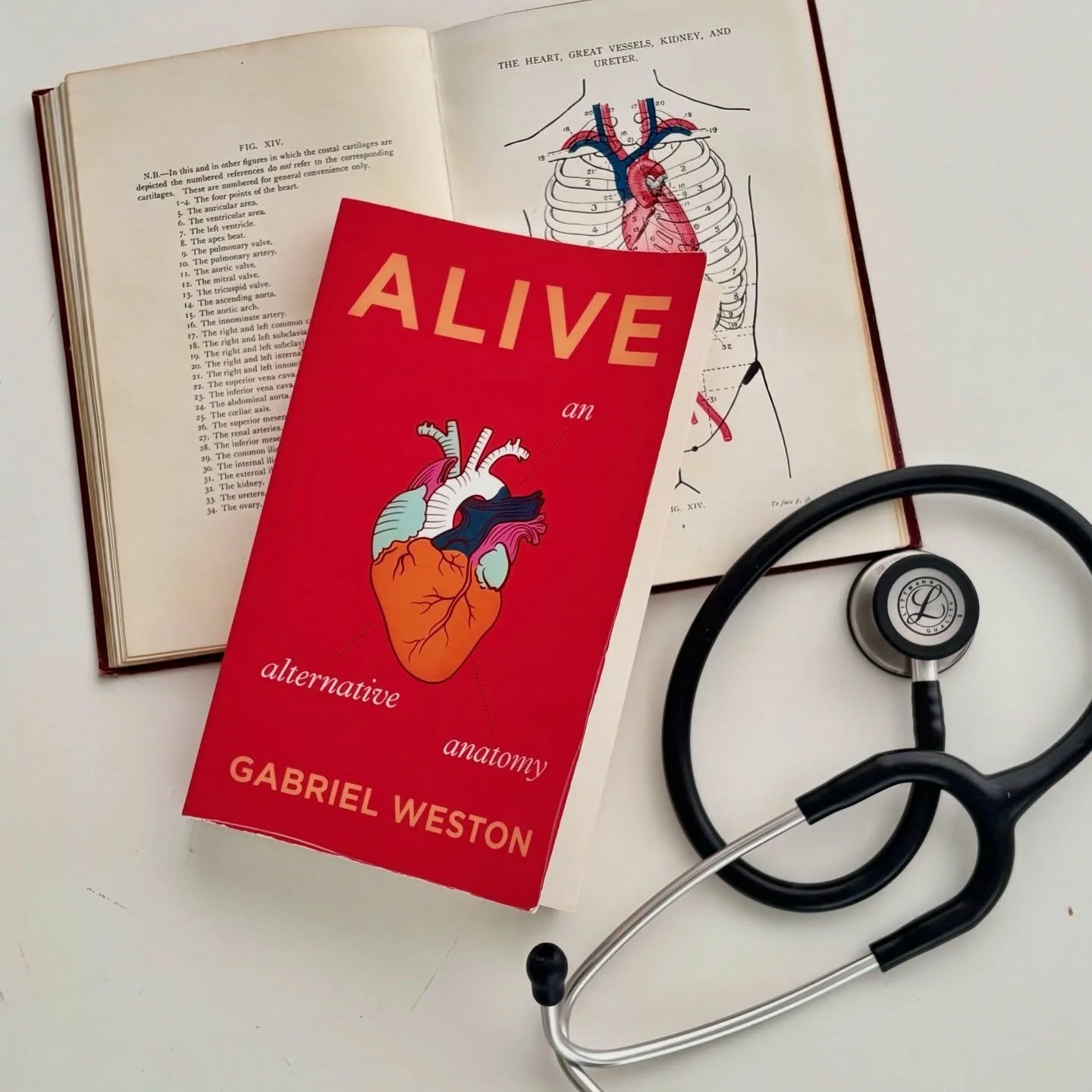 🫀40 years ago I walked into the anatomy dissection room at Cambridge University for the first time. It's almost 60 years since I was born into an amazing yet perplexing and notoriously unpredictable body of my own.

🧠Somewhere, between the long hou
