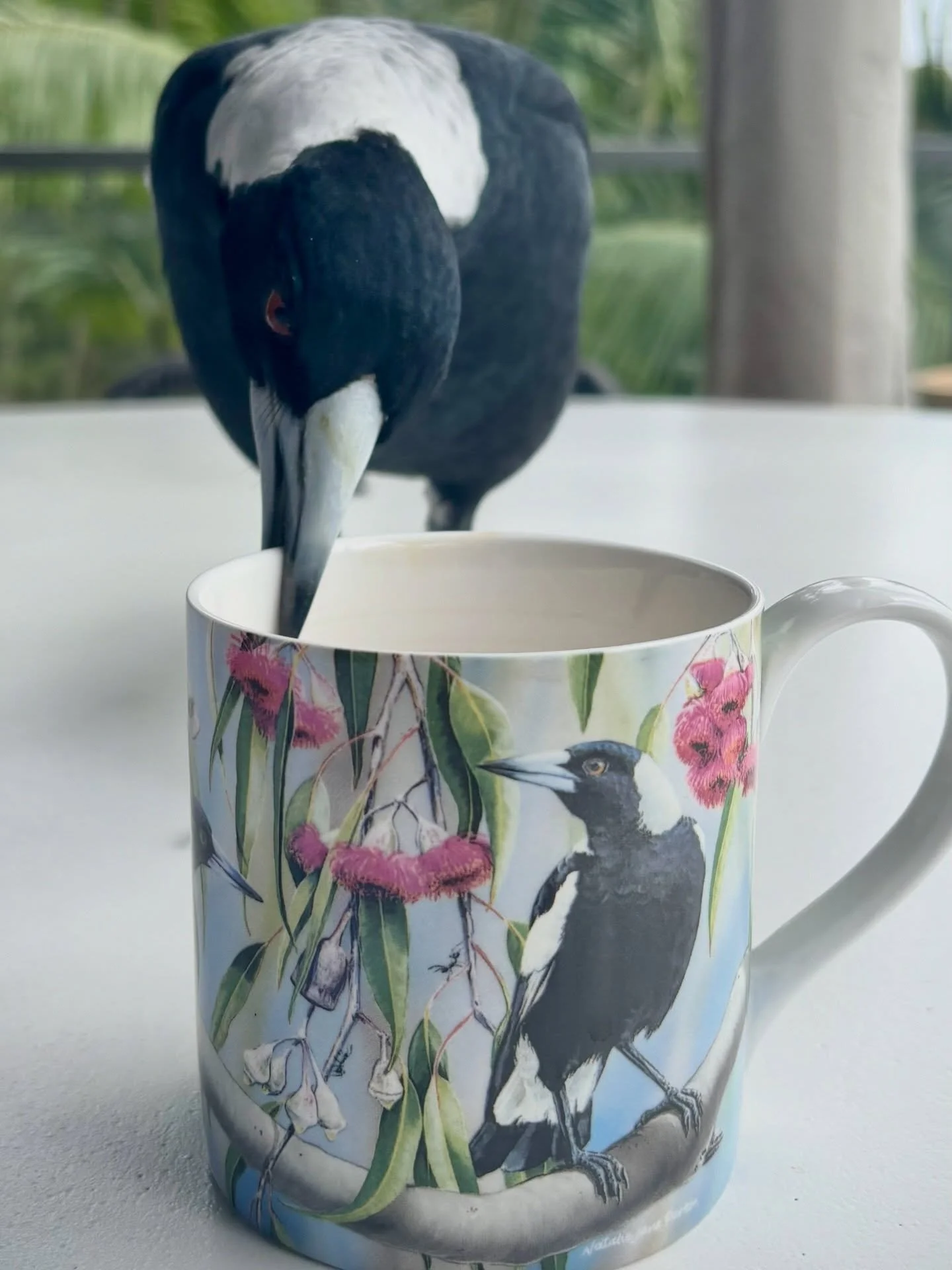 Not content with the birdbath...