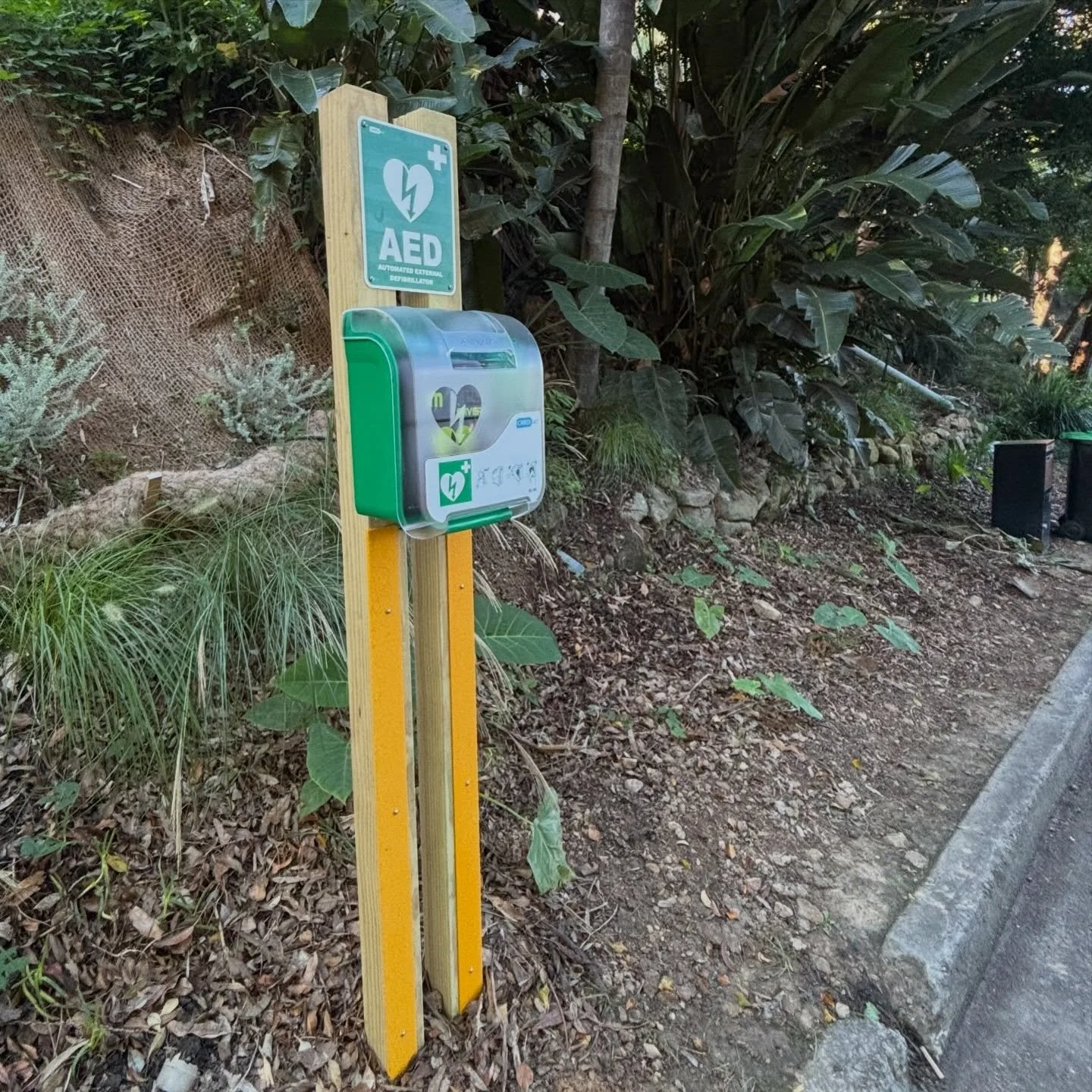 I'm so grateful to my wonderful neighbours who organised and collected donations for this AED in our road. They even arranged free training for residents.
Let's hope we never have to use it but in this tiny corner of the world we can all rest a littl