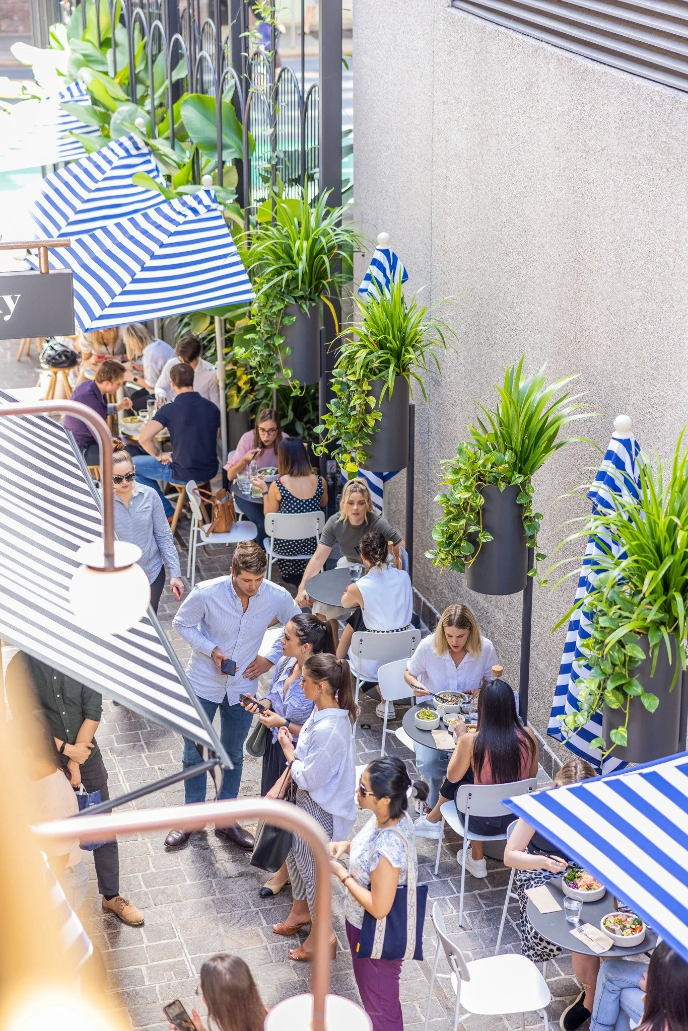 Diners at Cheeky Ulster Lane beneath striped umbrellas and hanging greenery