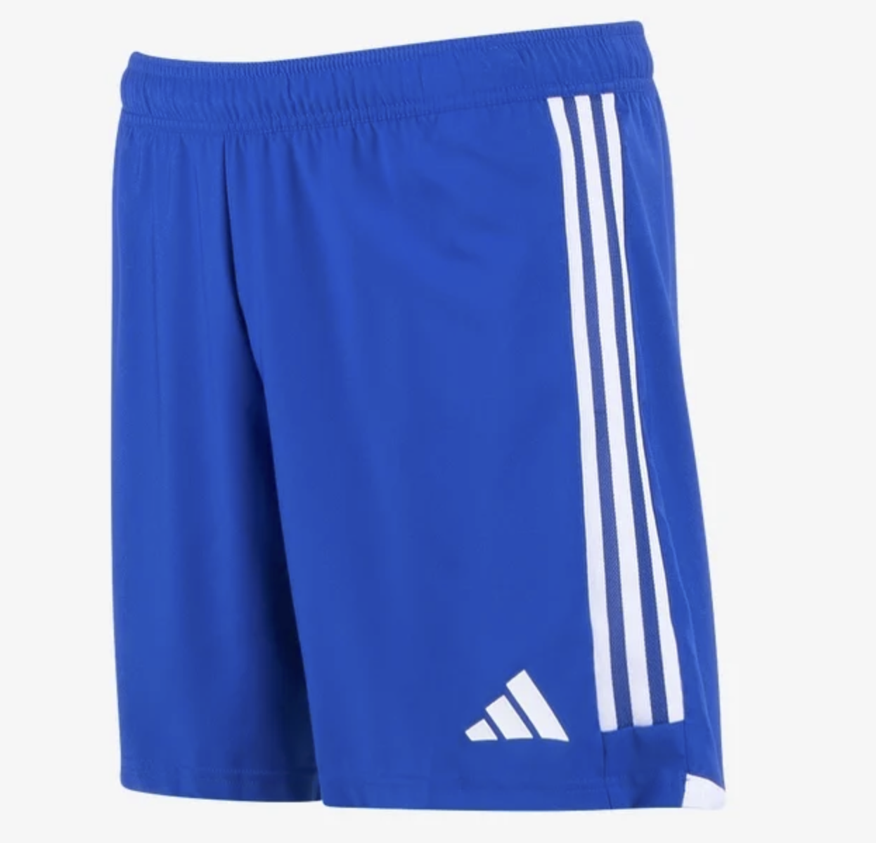 Traning Shorts.png