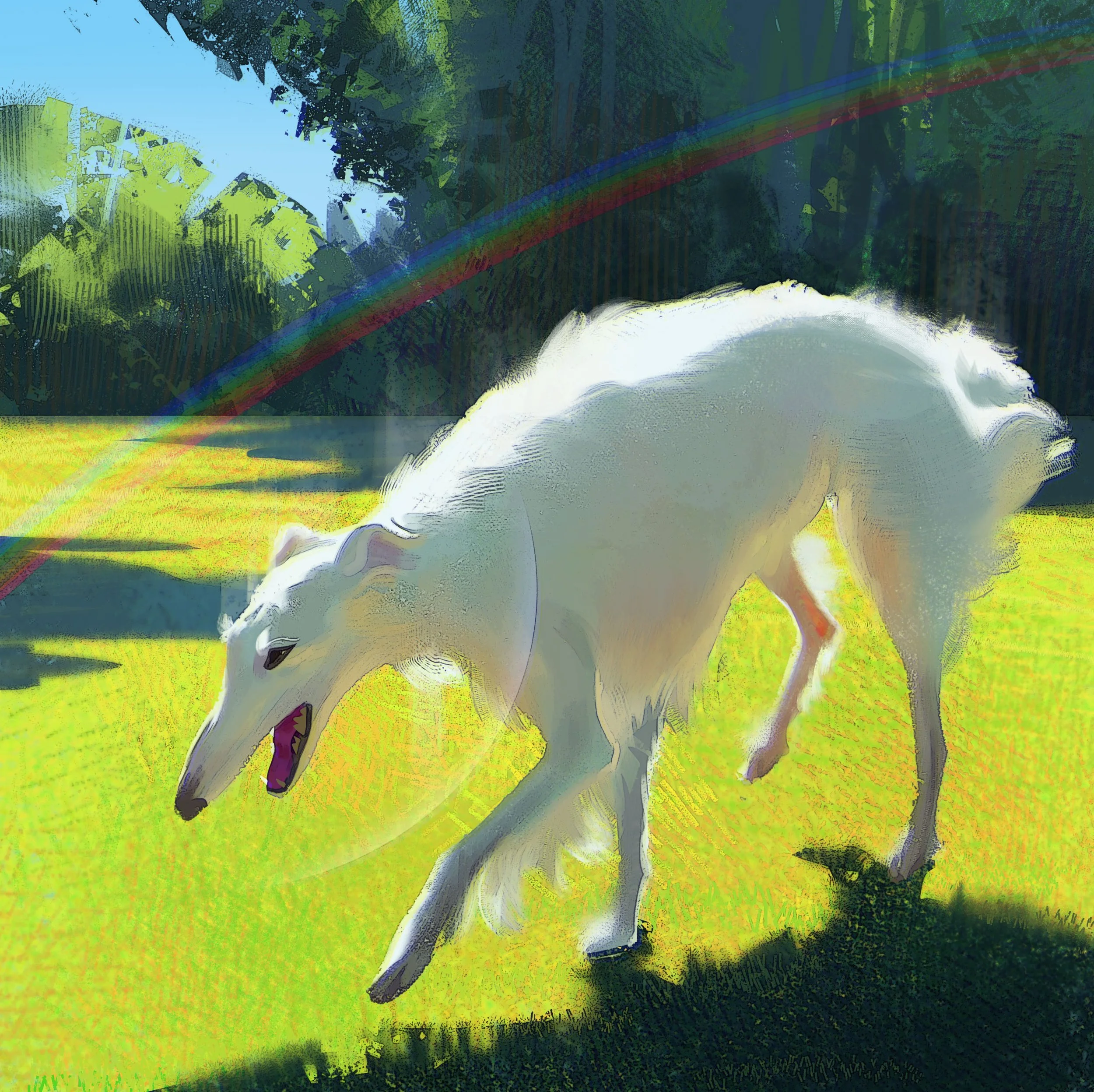 dawg.jpg