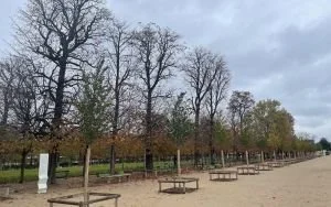 56. Poursuivre la création d’espaces verts et l’agriculture urbaine dans tous les espaces urbains sous-dotés