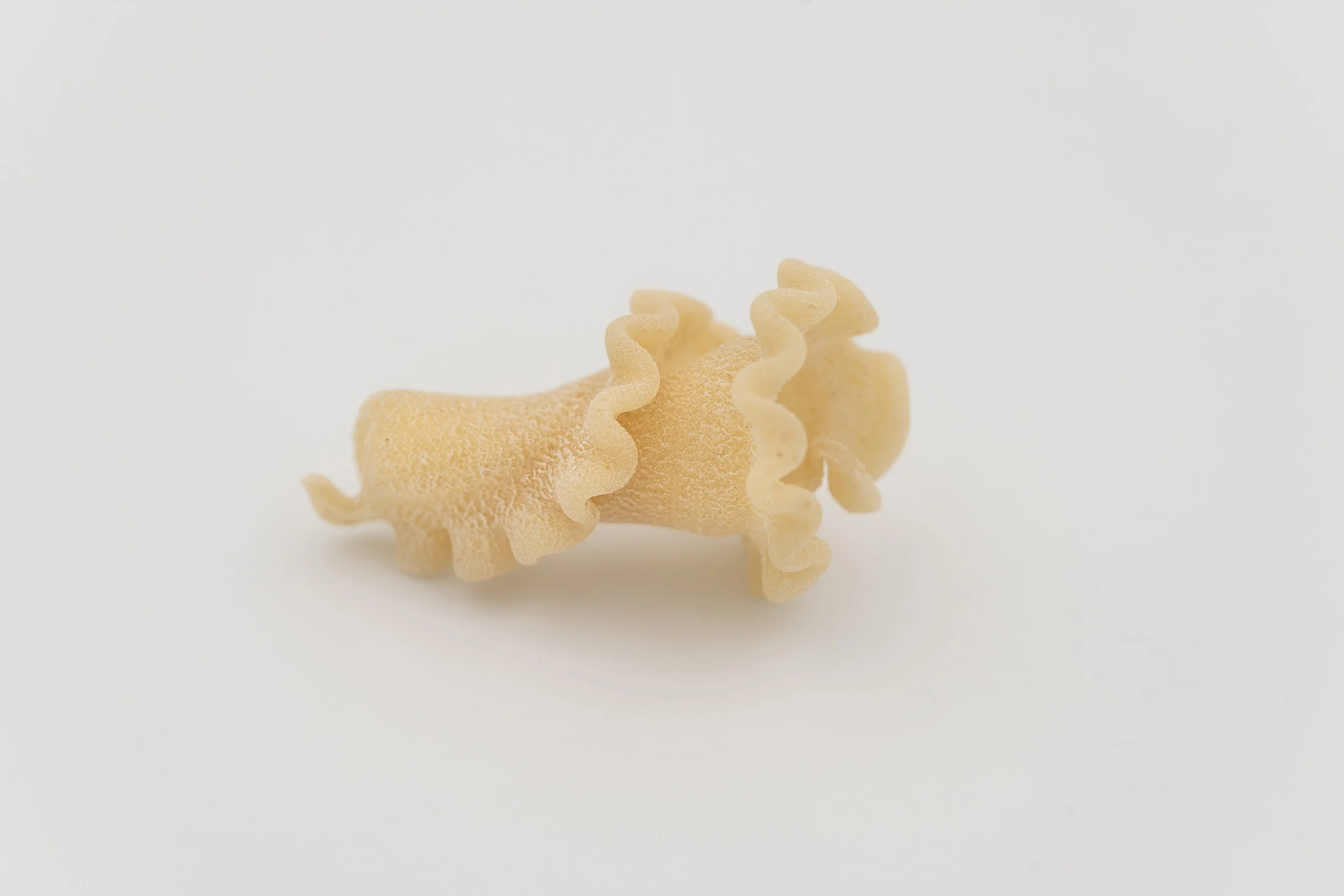 Nahaufnahme einer ungekochten, wellenförmigen Pasta auf weißem Hintergrund.