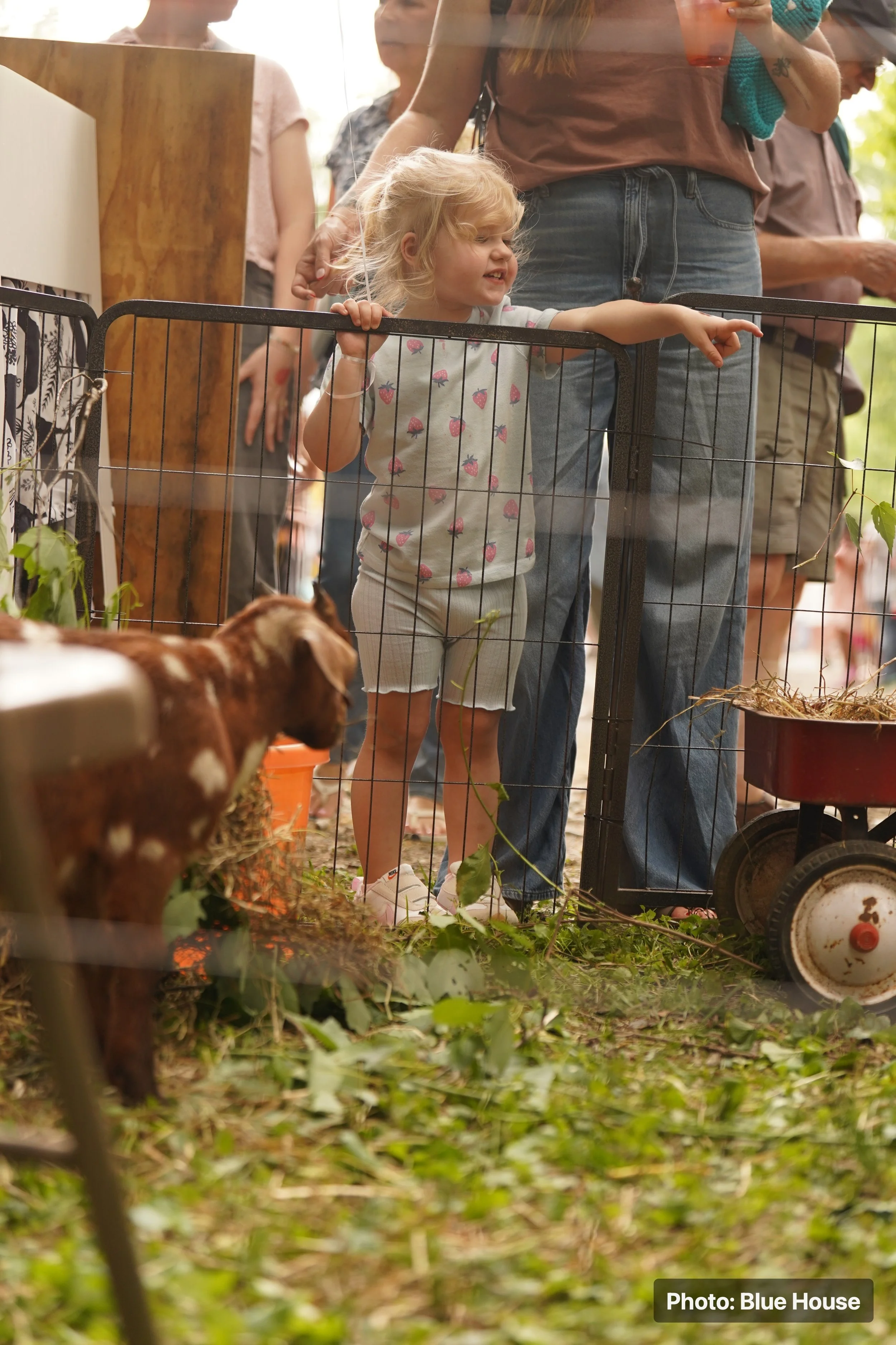 A young girl with curly blonde hair wearing a white shirt with strawberries points at something outside a black metal enclosure at a petting zoo, with adults and greenery in the background.