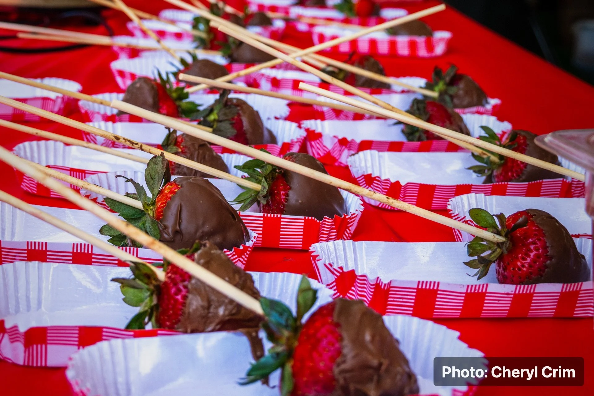 Chocolate-covered strawberries arranged on a table at the Strawberry Festival.