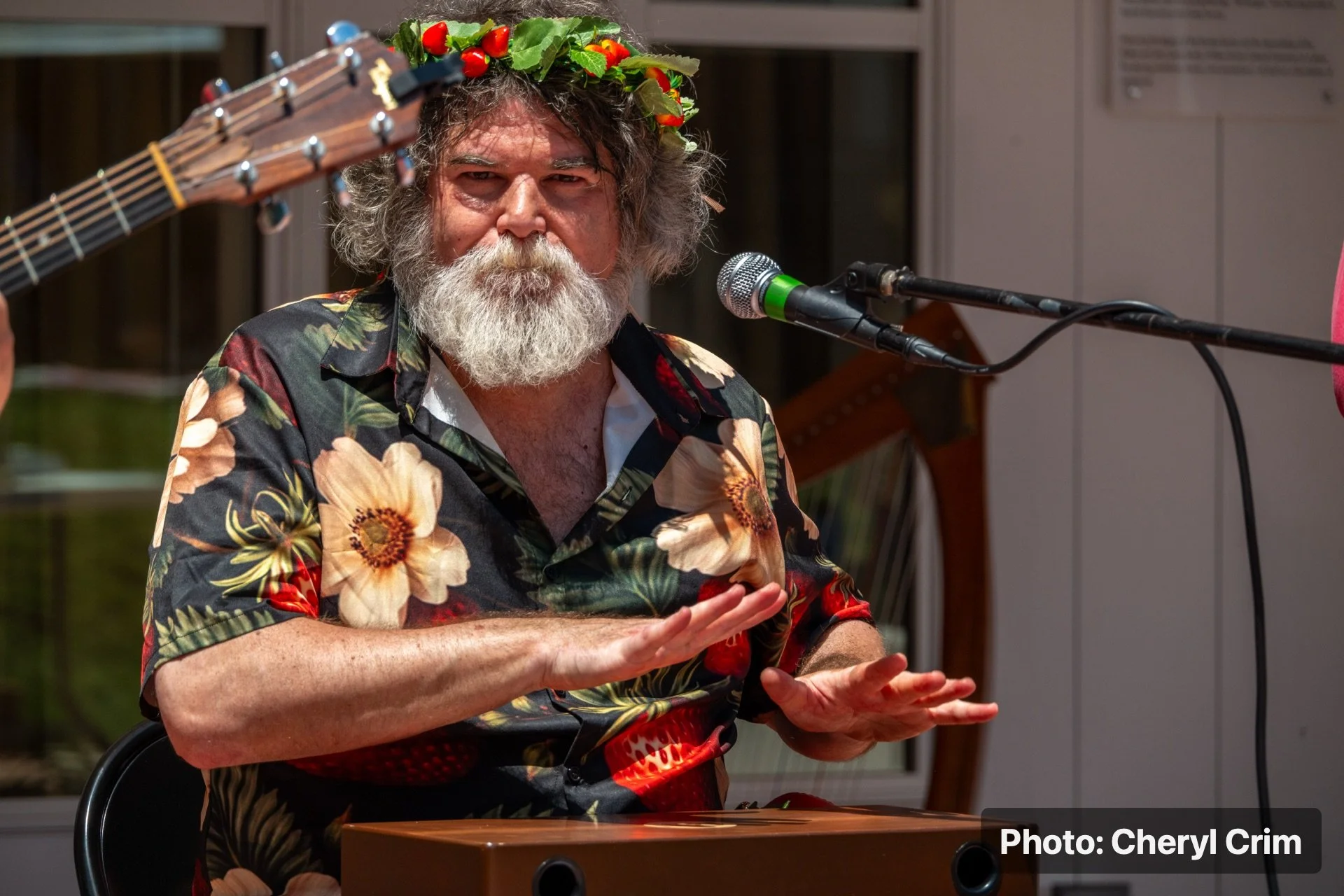 A musician performing outdoors during the Strawberry Festival.