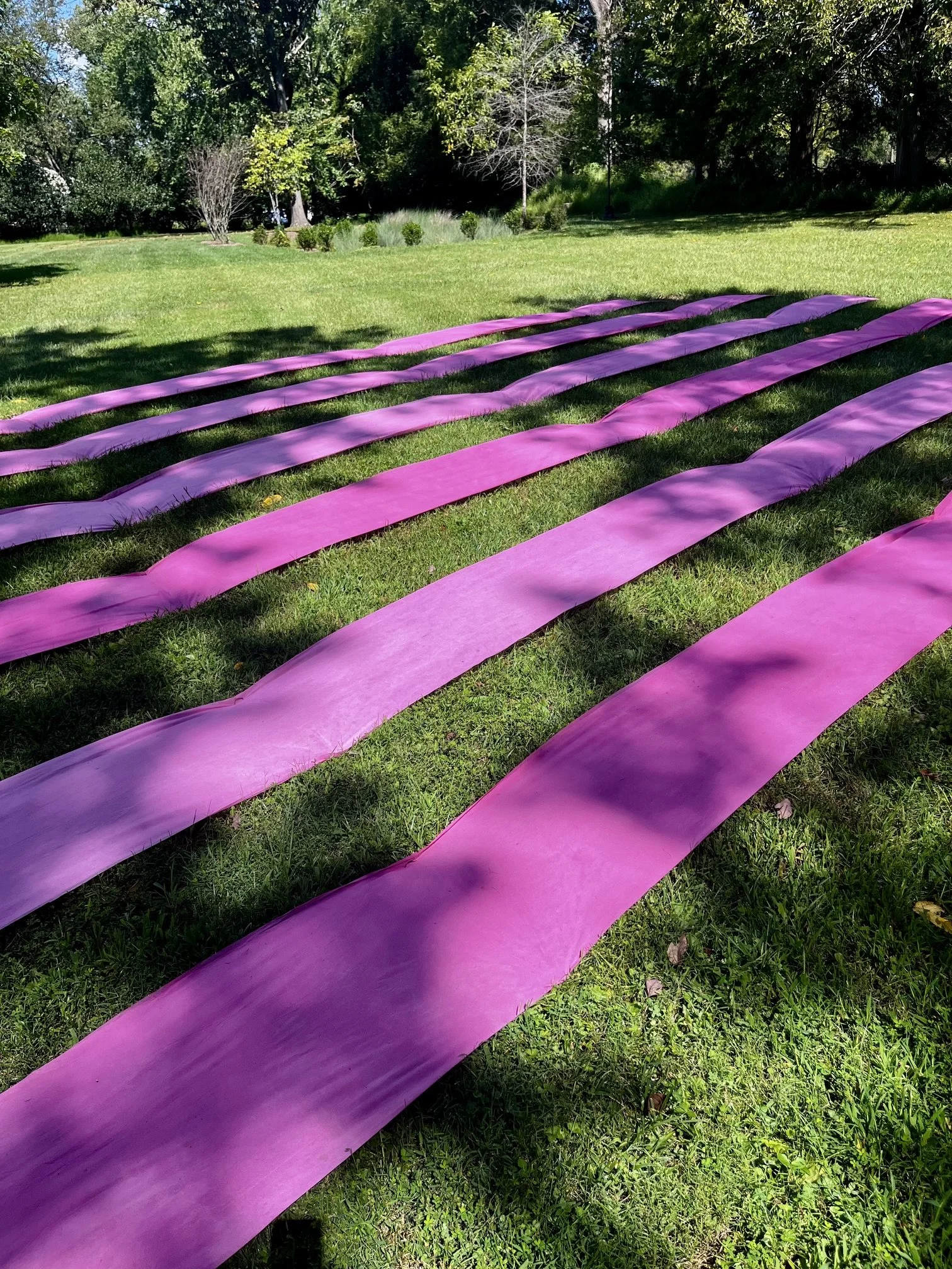 Long pink strips arranged across the lawn at Sandy Spring Museum.