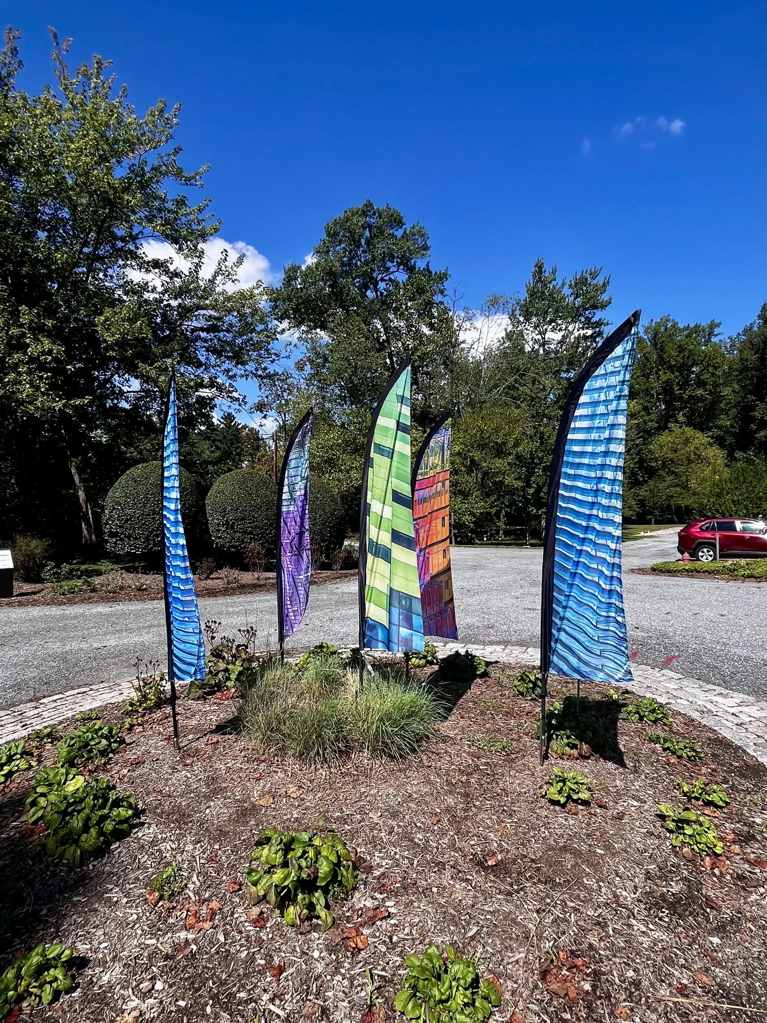 Light Water Wind by Sally Canzoneri