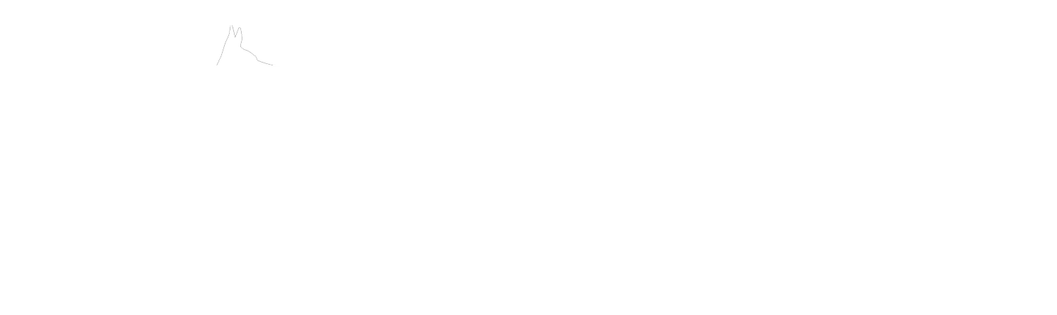 MeganK9Training