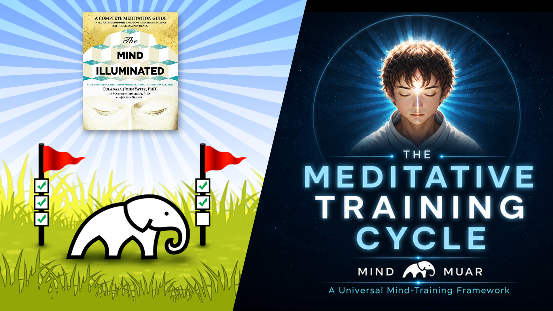 The Mind Illuminated book above The Playful Path’s white elephant and red flags on the left, beside a meditating figure and the title “The Meditative Training Cycle” on the right.