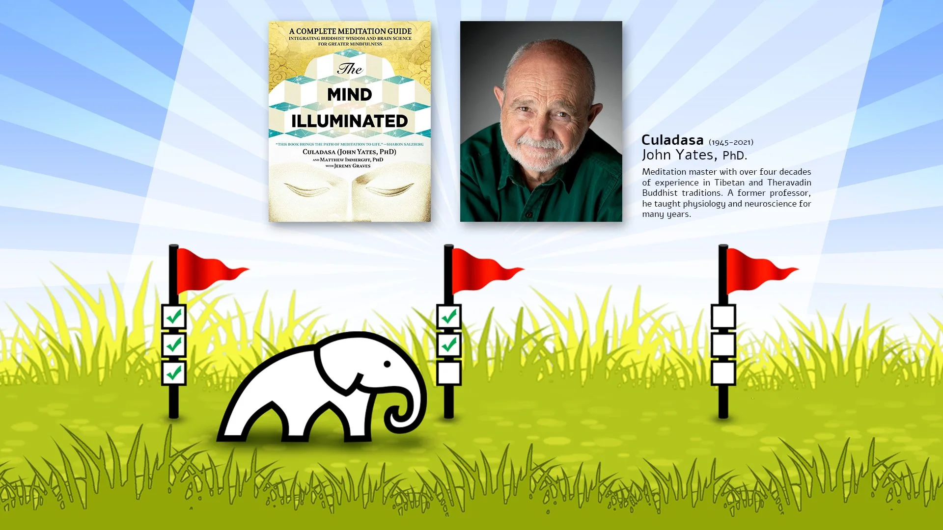 Mind Muar comparison-series illustration showing The Mind Illuminated book and a portrait of Culadasa above The Playful Path illustration: a white elephant progressing through a grassy field marked by red flags.