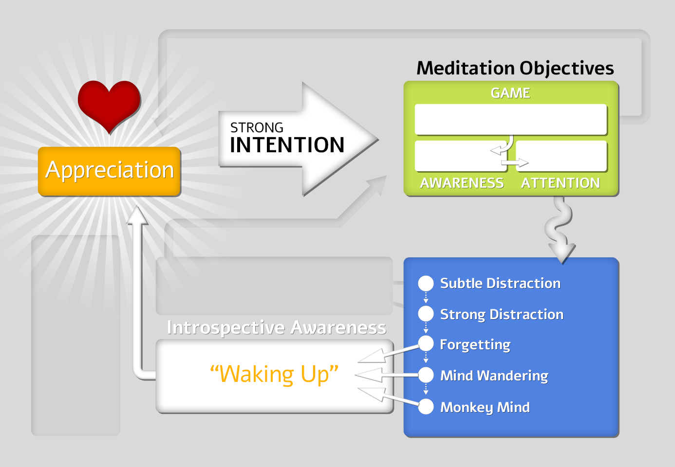 Meditative Training Cycle diagram showing Waking Up returning to Appreciation, which continues to reinforce the cycle throughout meditation practice.