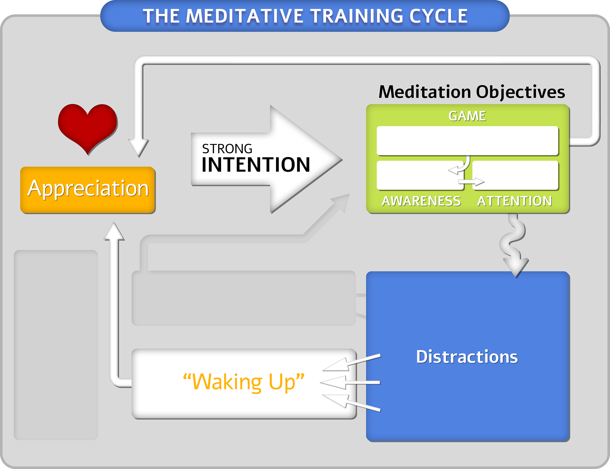 The Meditative Training Cycle framework showing appreciation, strong intention, meditation objectives, awareness, attention, distractions, waking up, and the return to appreciation.