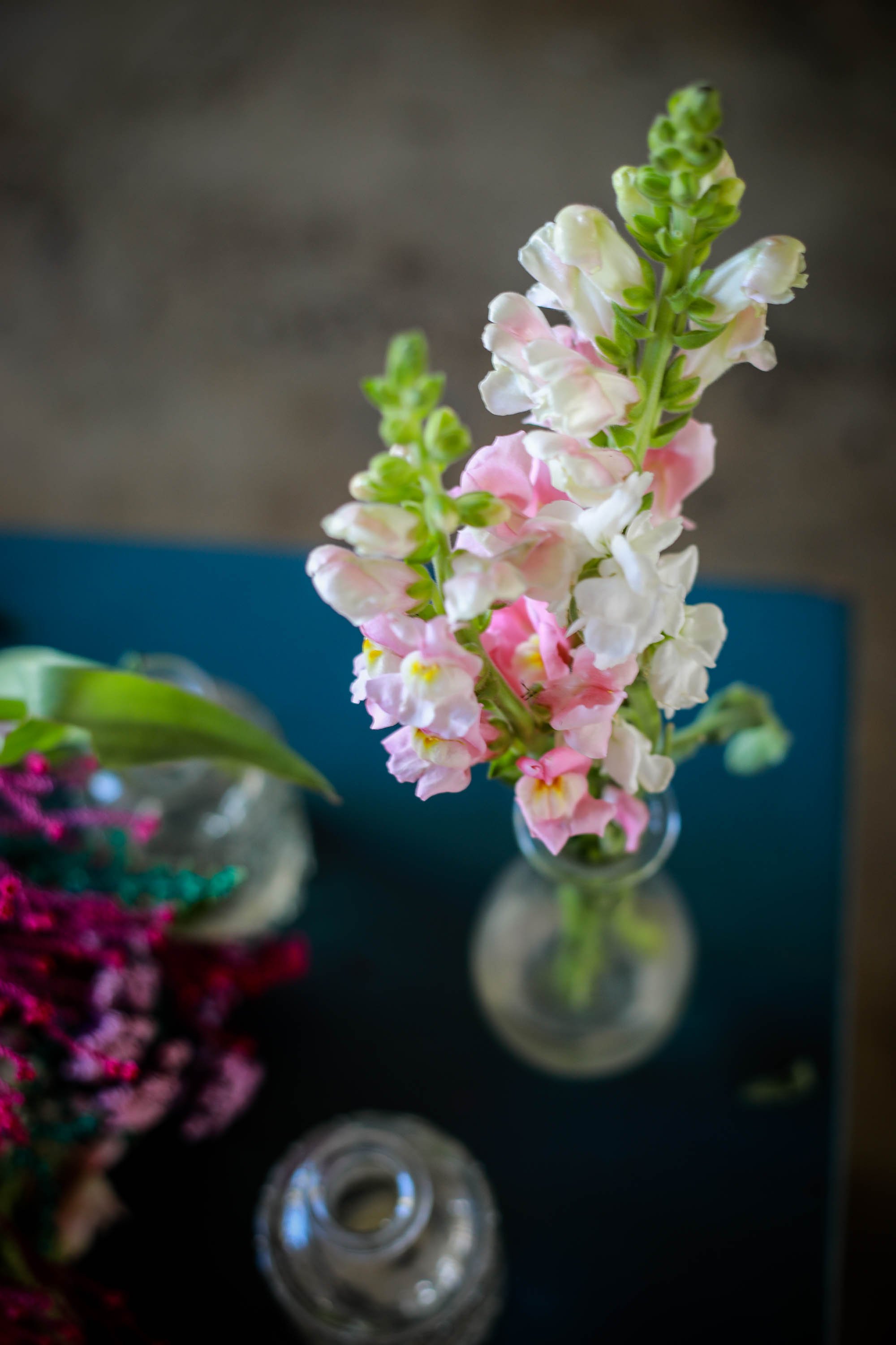 WB_Meg_Jay_30June_Cintsa_decor_10-2(1).jpg