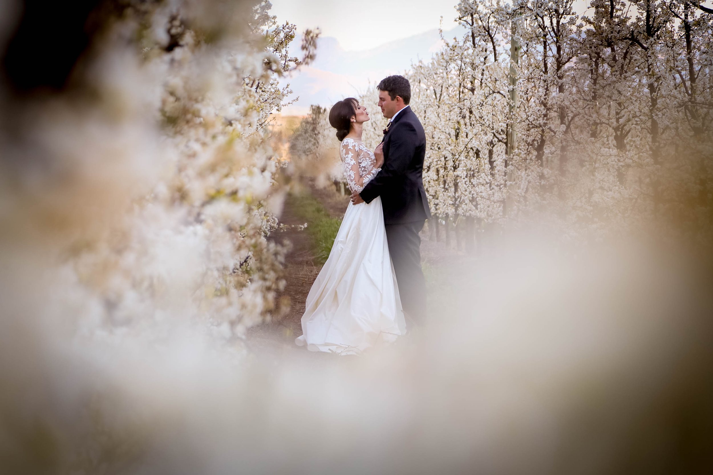 WbS2_JohaniPhillip_Portraits_1191(1).jpg