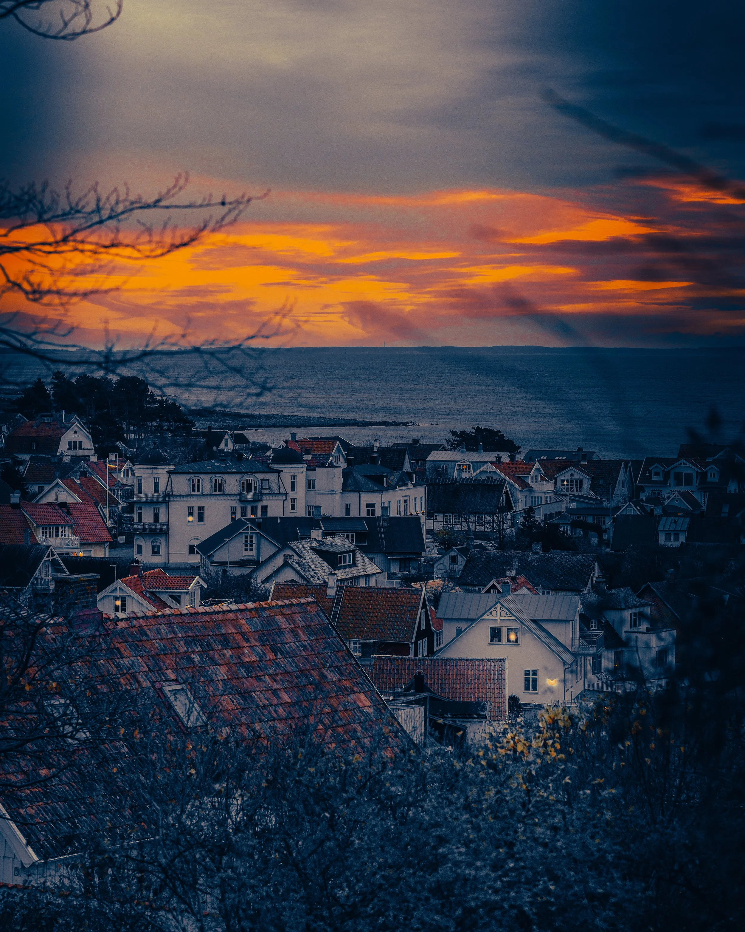 DSC06598 copy 2_2.jpg