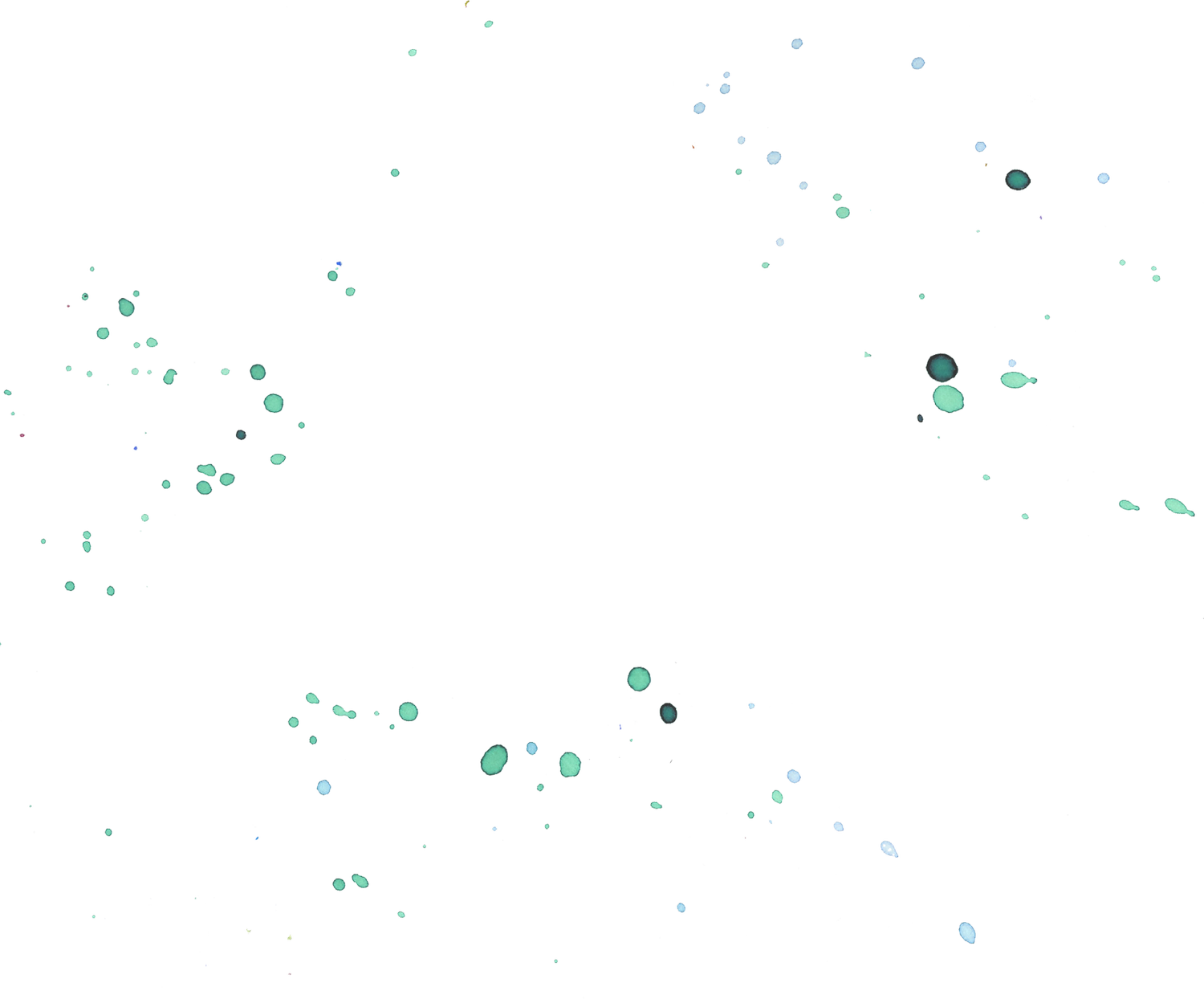 Contact Us — Create Sheffield