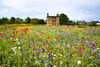 Sheffield Manor Lodge open throughout school summer holidays Sunday-Thursday 10am-4pm free entry - Sheffield Manor Lodge Meadows, Tudor History and Arts & Crafts