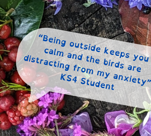 Neurodivergent Affirming Practice Outside &amp; Sensory Circuits in Nature