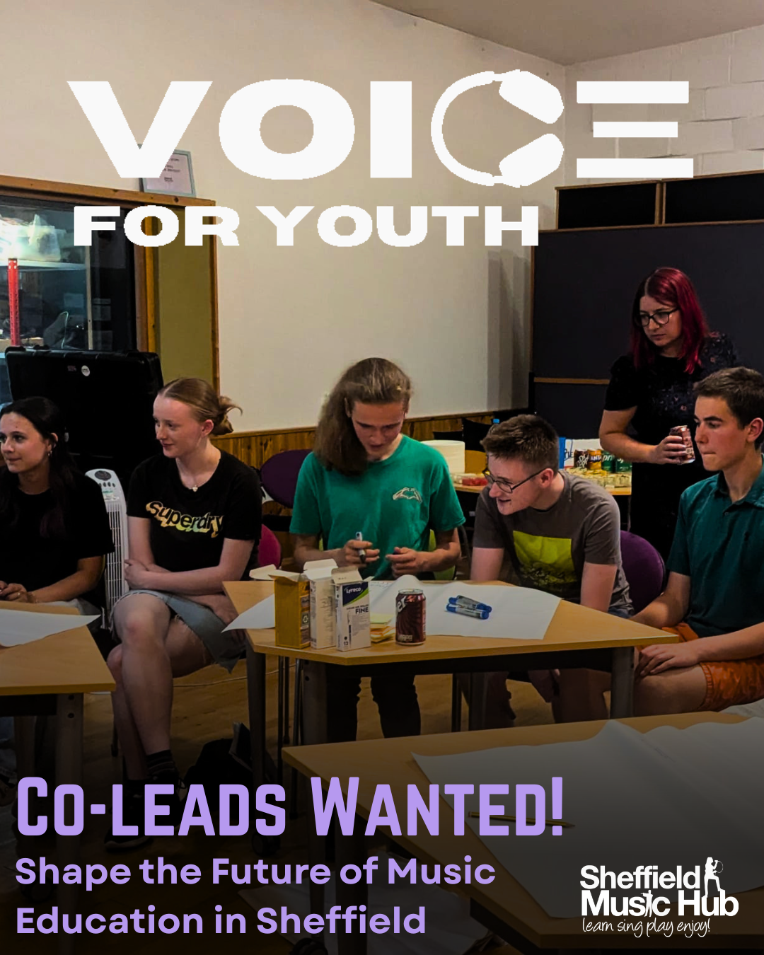 Sheffield Music Hub are looking for two new Co-Leads! 