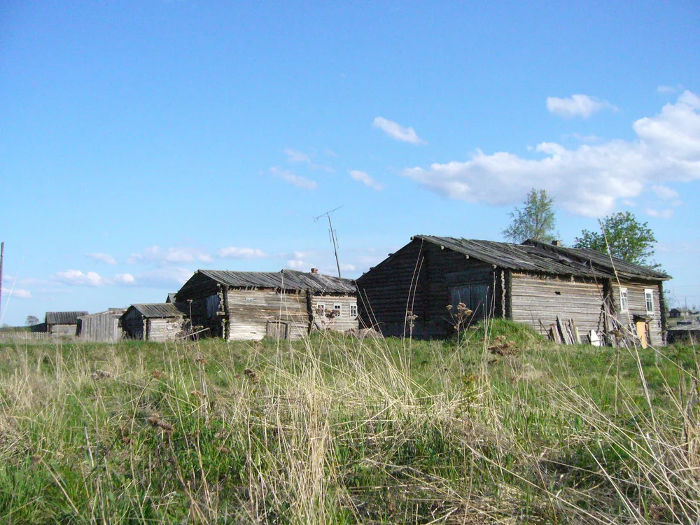 P1010142.JPG