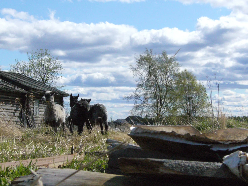 P1010091.JPG
